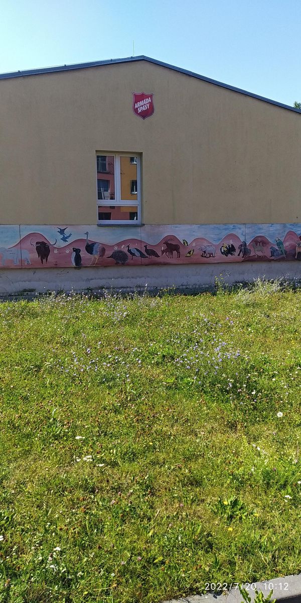 Armáda spásy v České republice foto 2