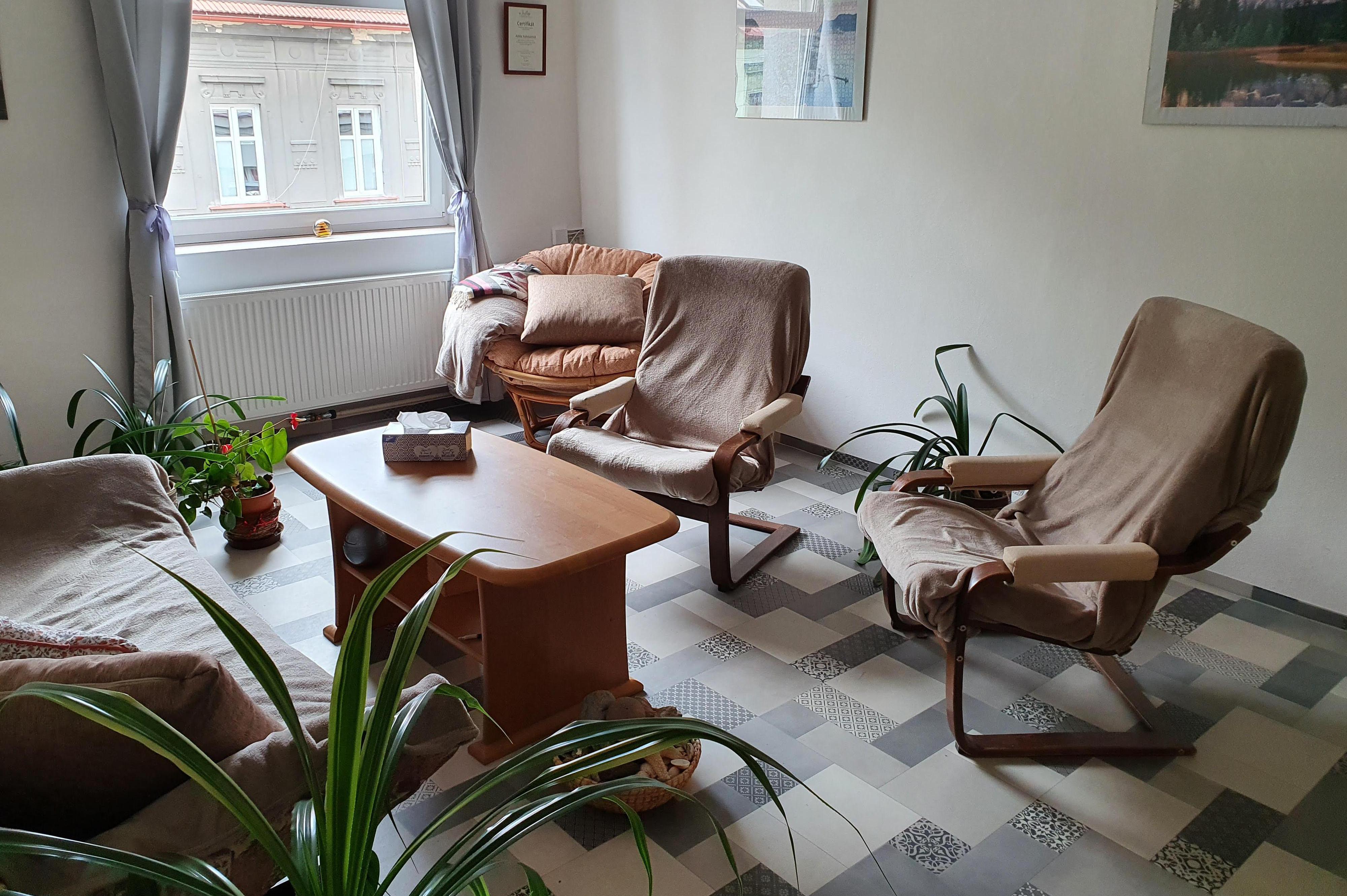 Psychologické poradenství Mgr. Adéla Kohoutová