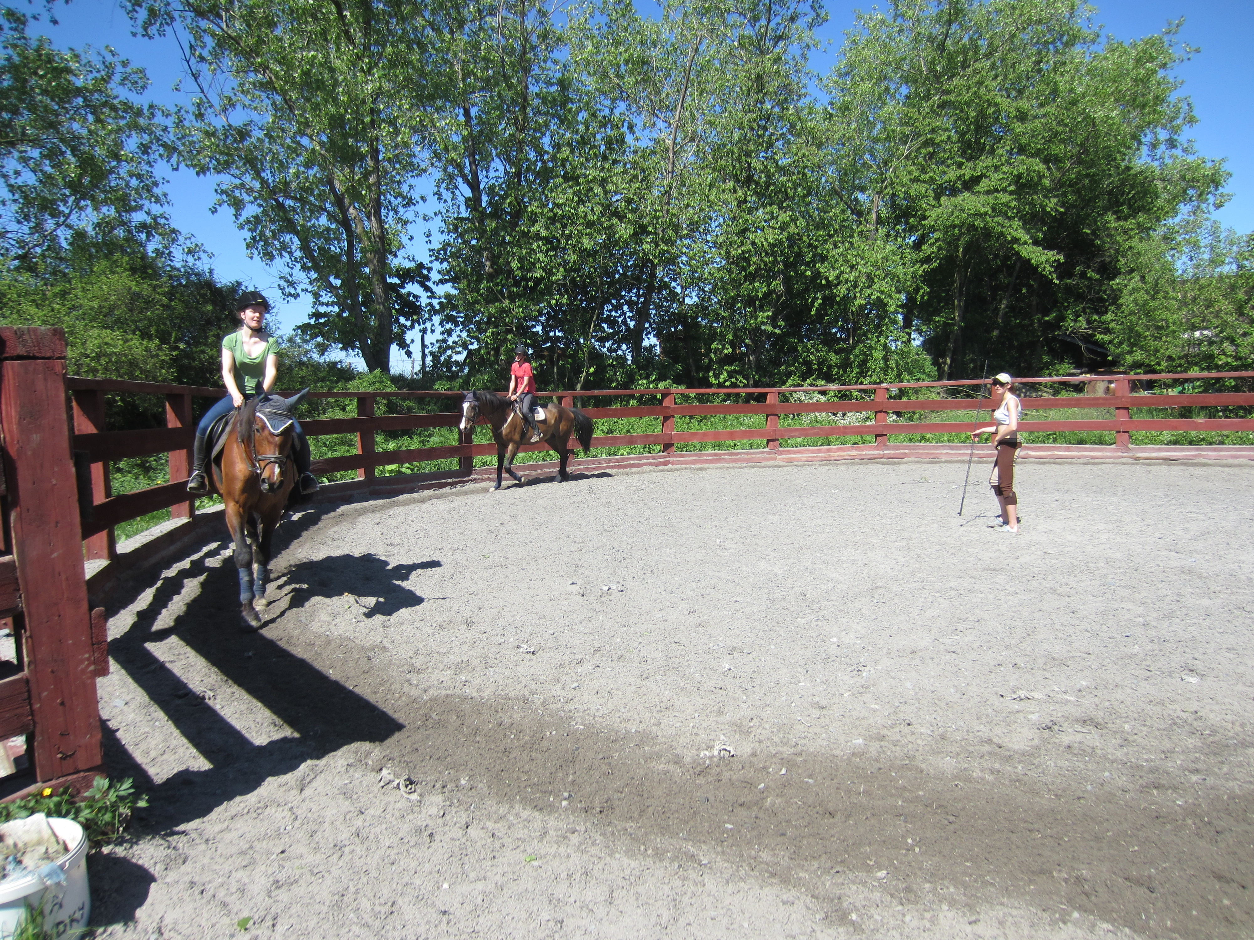 Farma Bojov - JK Paganini foto 4