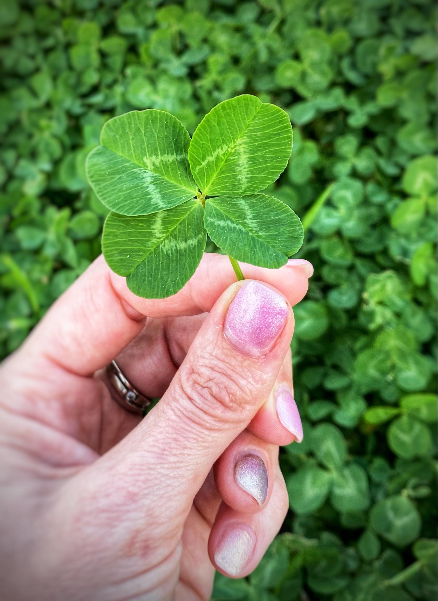 Psychologické poradenství Mgr. Martina Kastnerová foto 3