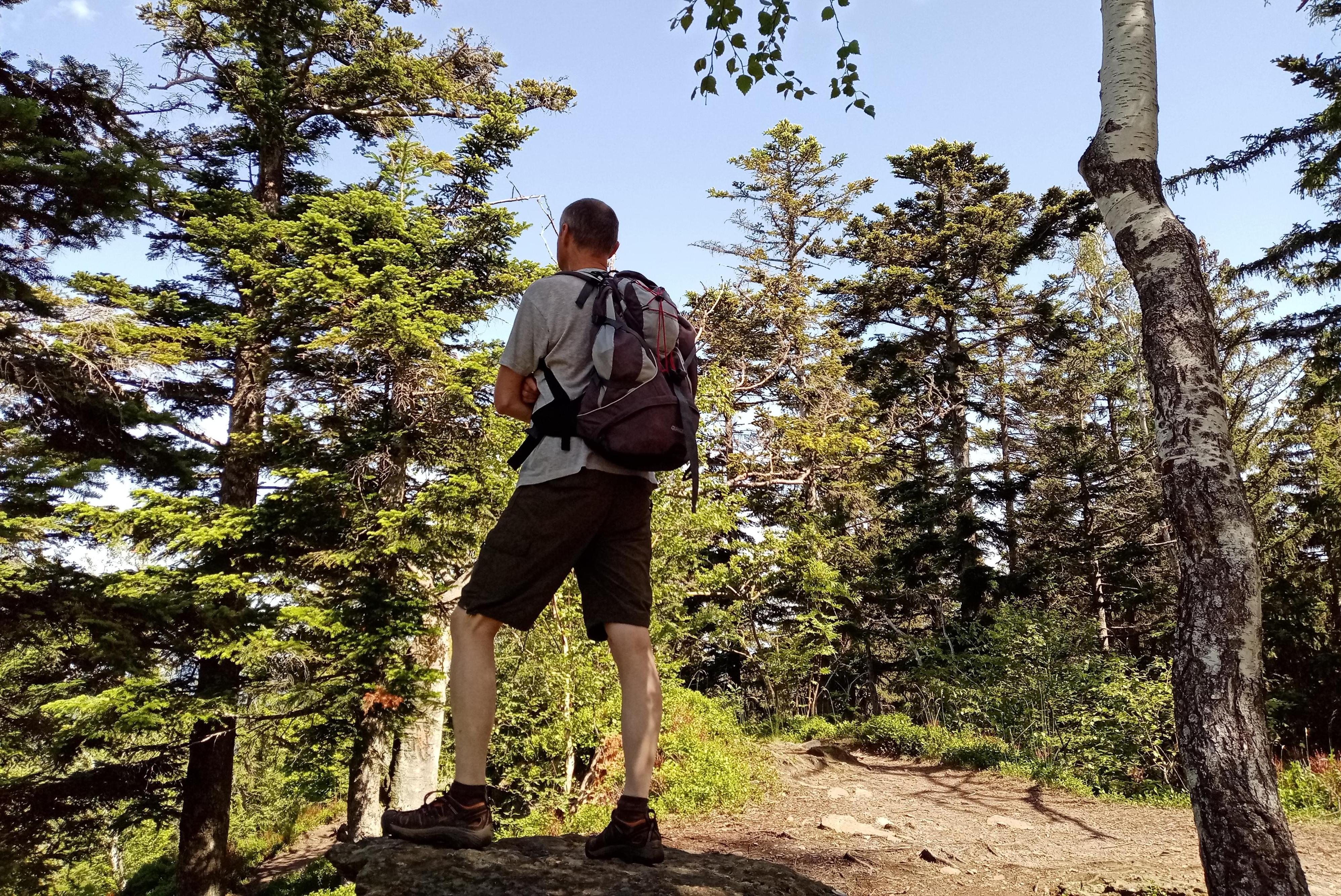 Poradenství Josef Hlaváček