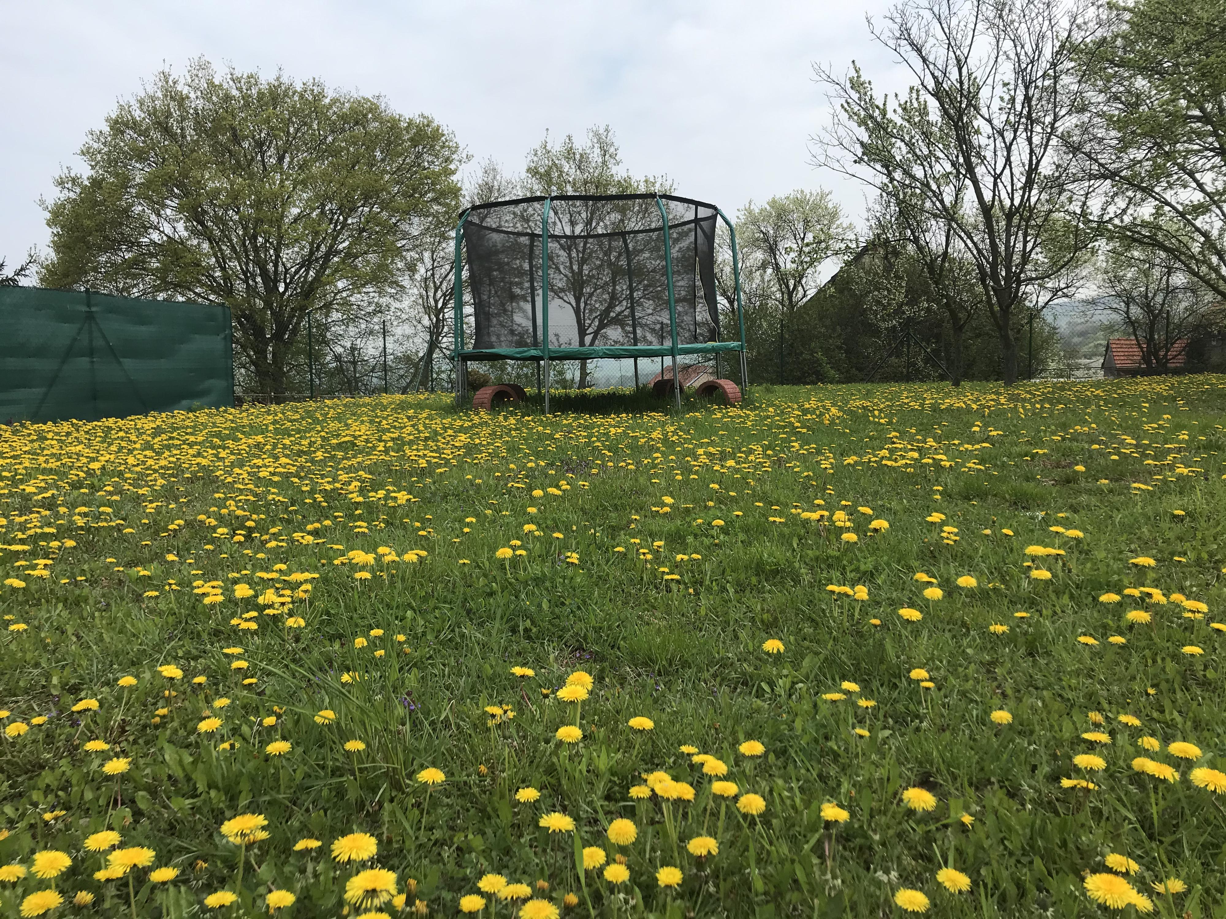 Penzion U Kostela foto 2