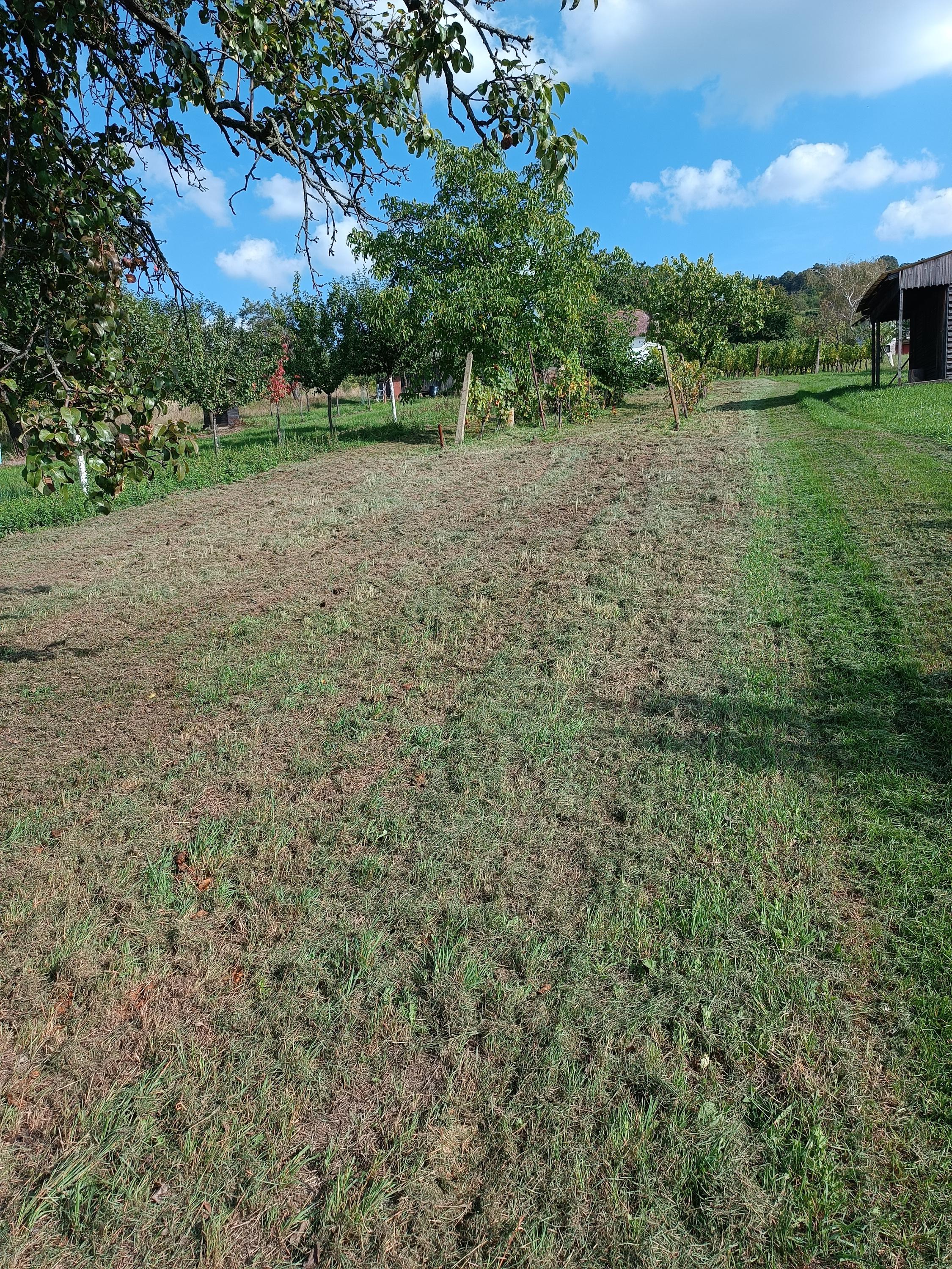 Zahradní a lesní práce Koštuřík - Zalko foto 2