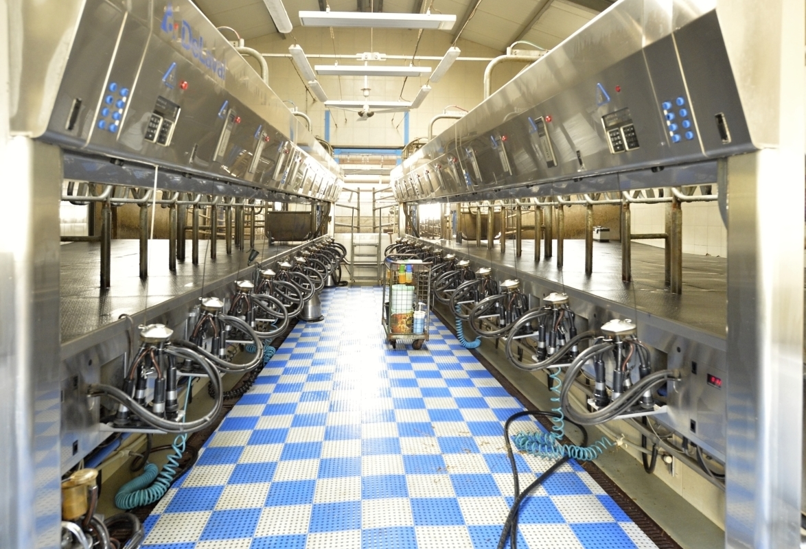 Sýry z Hané - Sýrárna ROLS foto 2