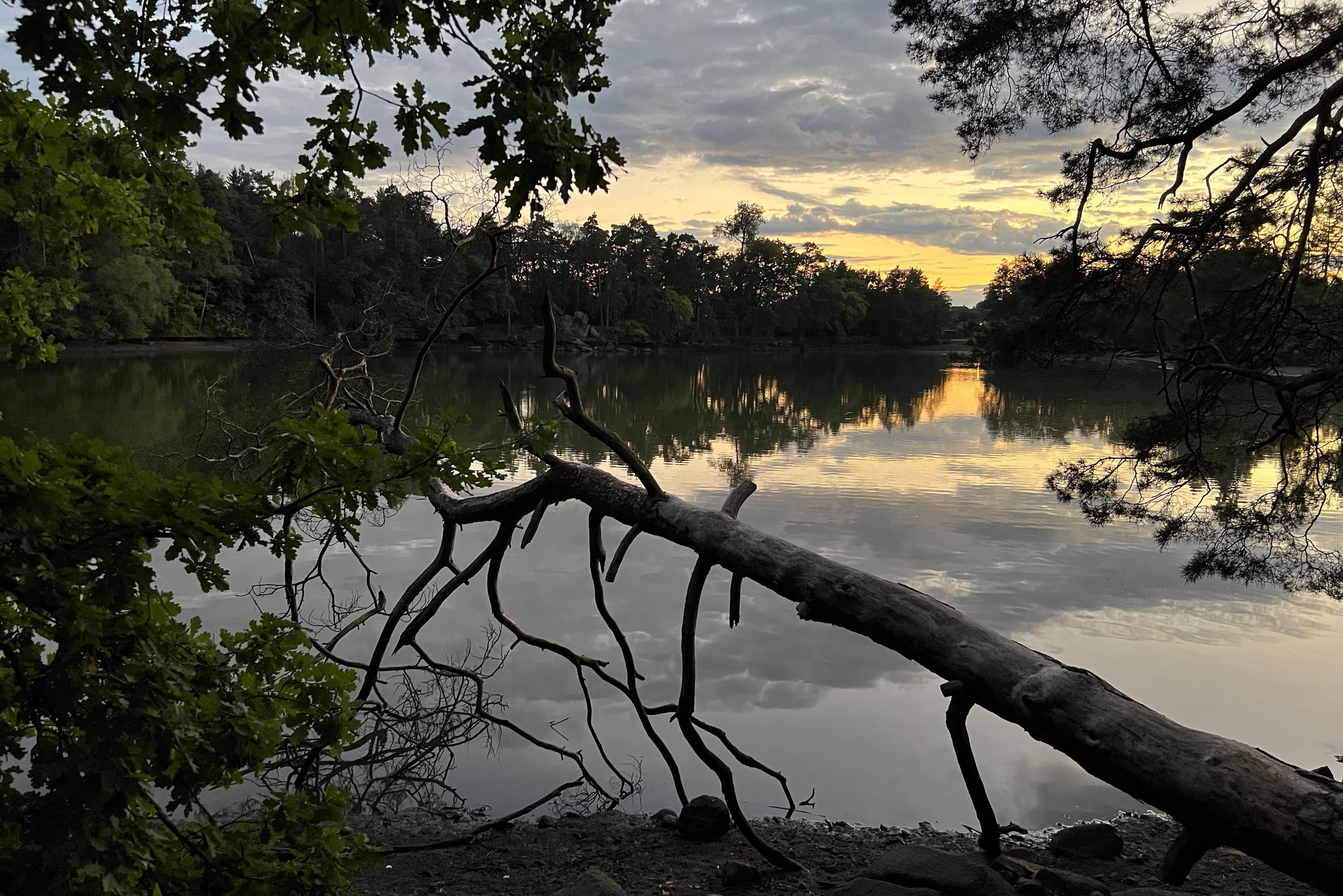 Mgr. Johana Kroupová - fotoobrazy