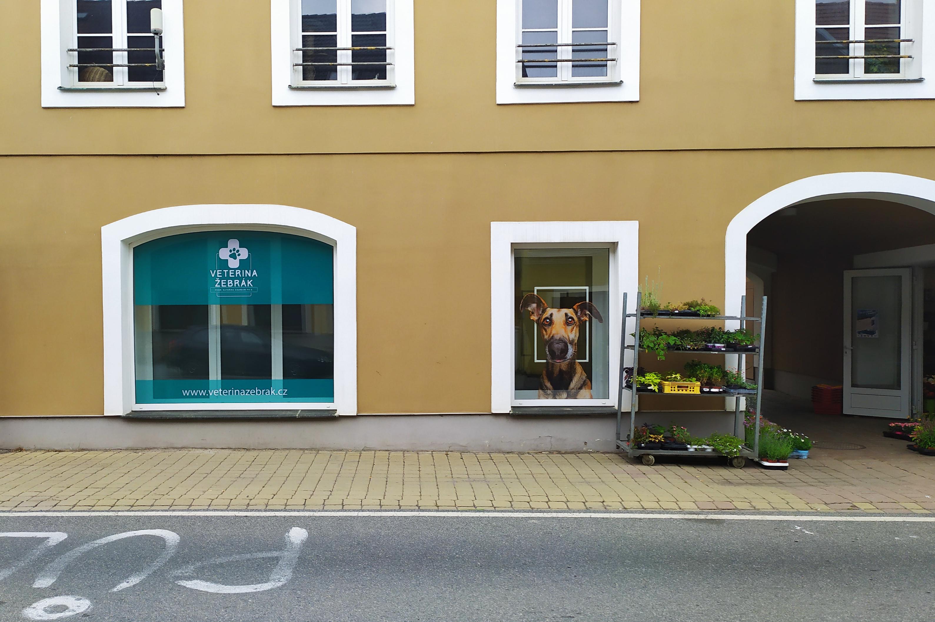 Veterinární ordinace MVDr. Kateřina Koursari, Ph.D.