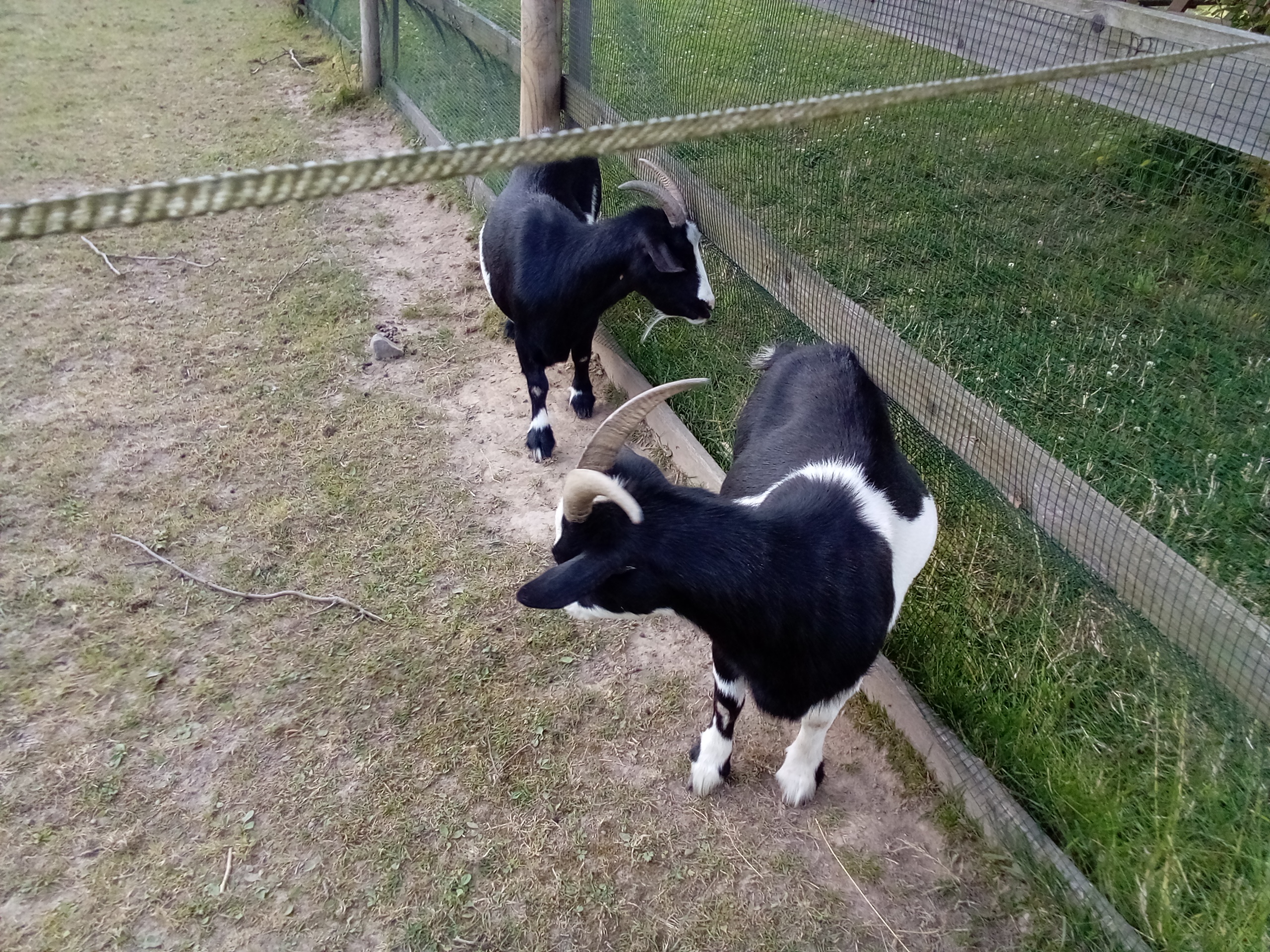 Penzion Na Stodolci foto 3