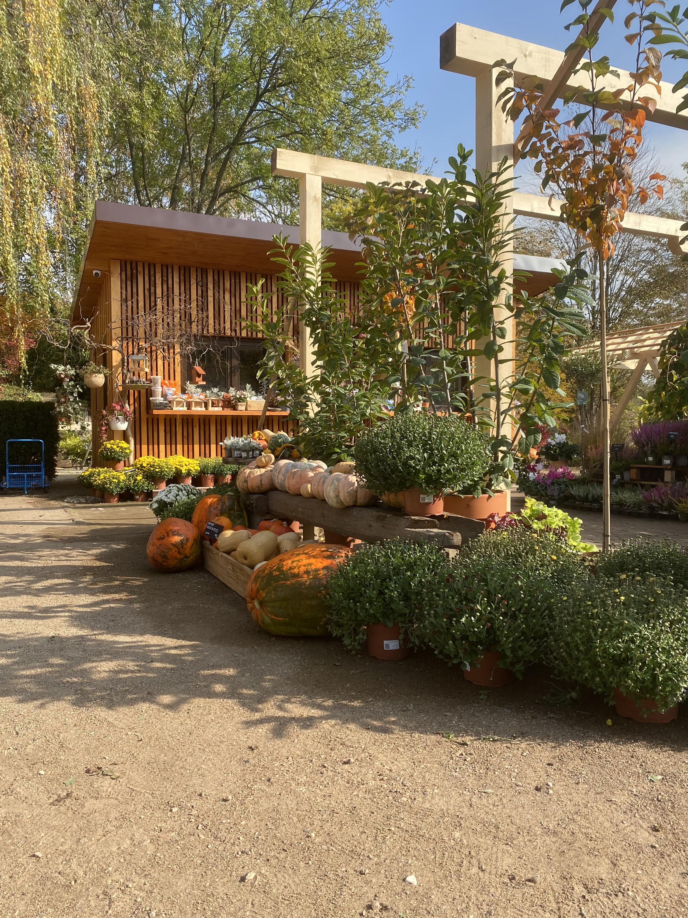 Build Your Home - Prodejní zahrada Černý Vůl foto 5