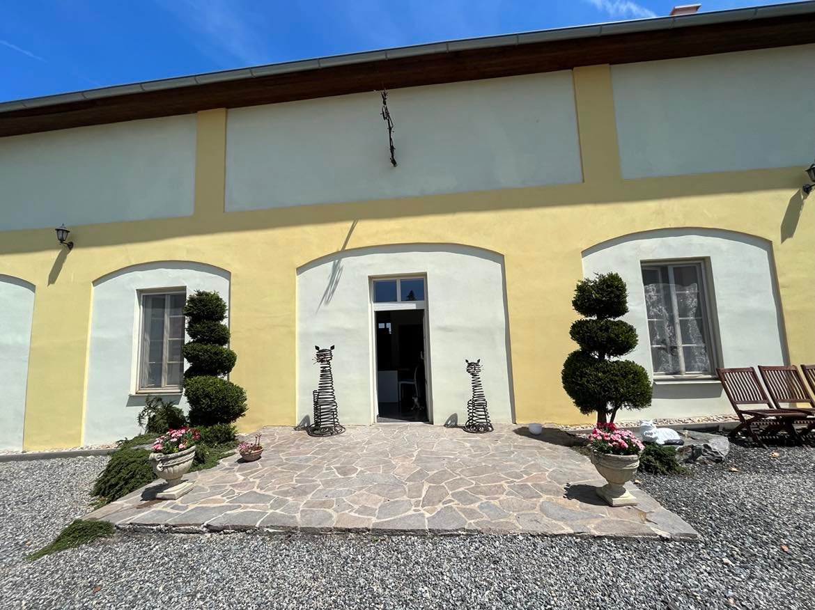 Kočičí útulek ALFONZ ÚMONÍN foto 1