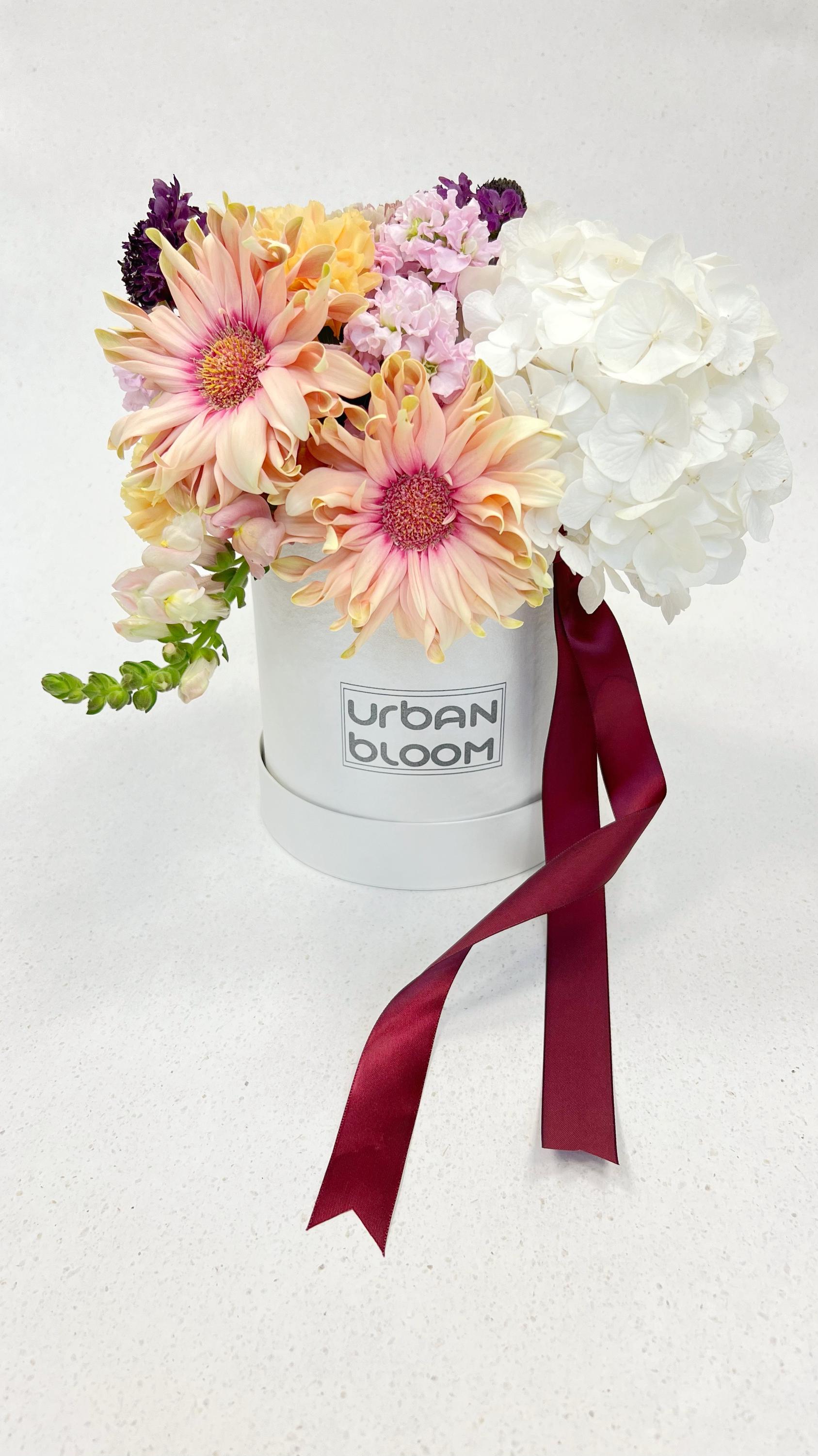 Urban Bloom foto 2