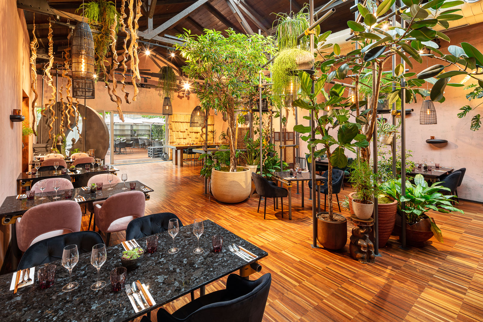 CAFE BUDDHA - škola vaření