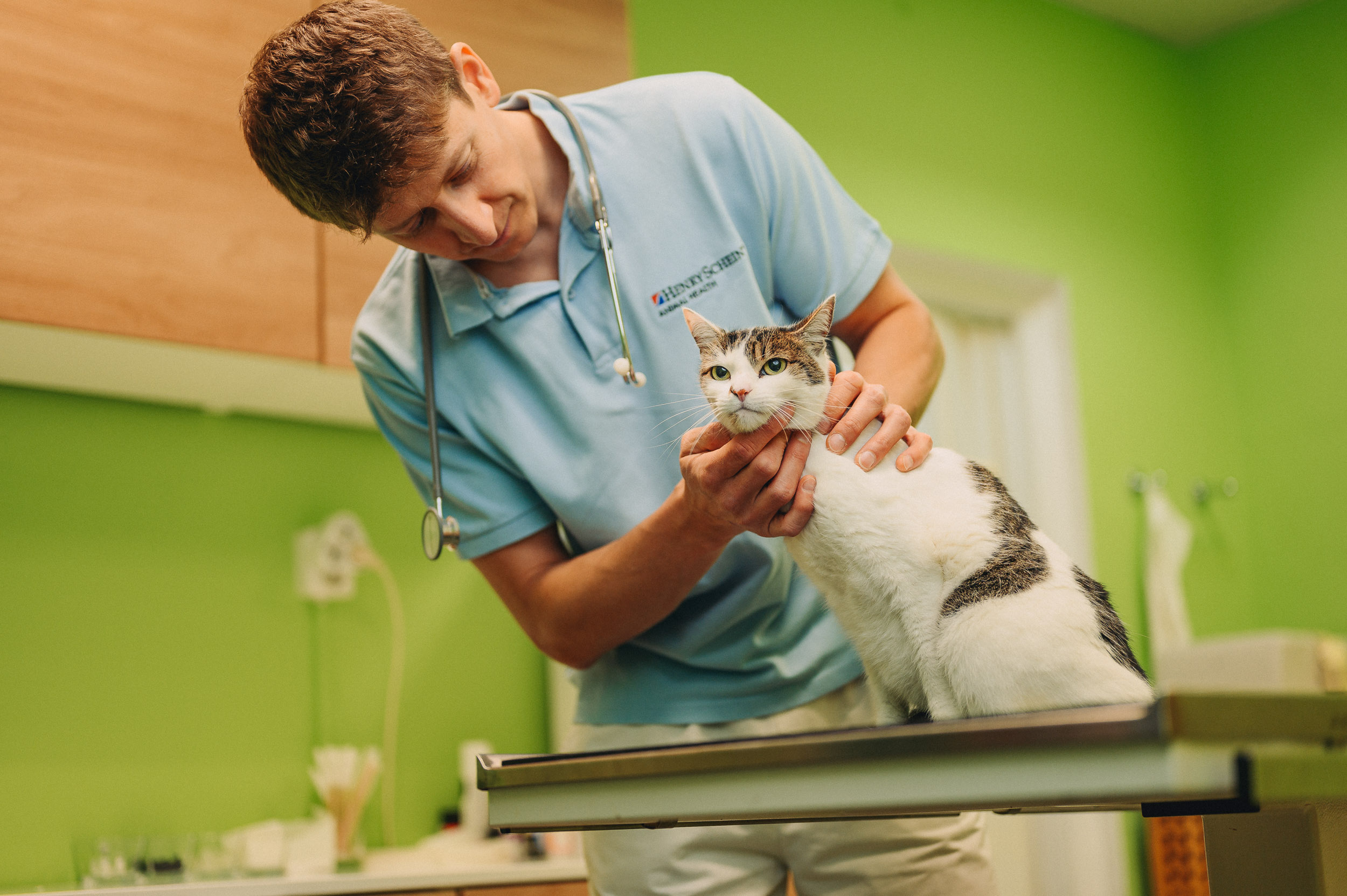 EVELVET veterinární ordinace foto 3