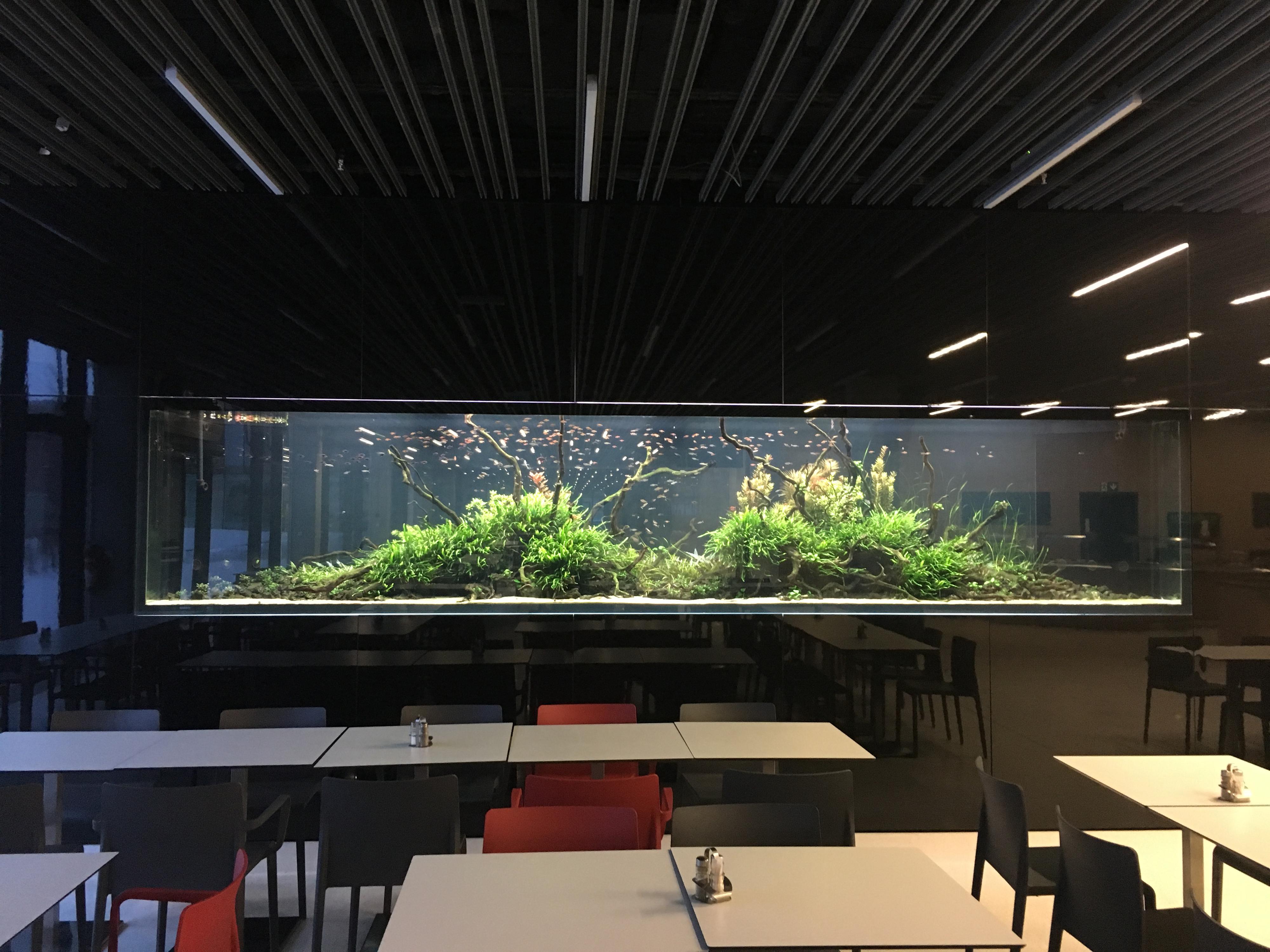 Aquascape.cz foto 6