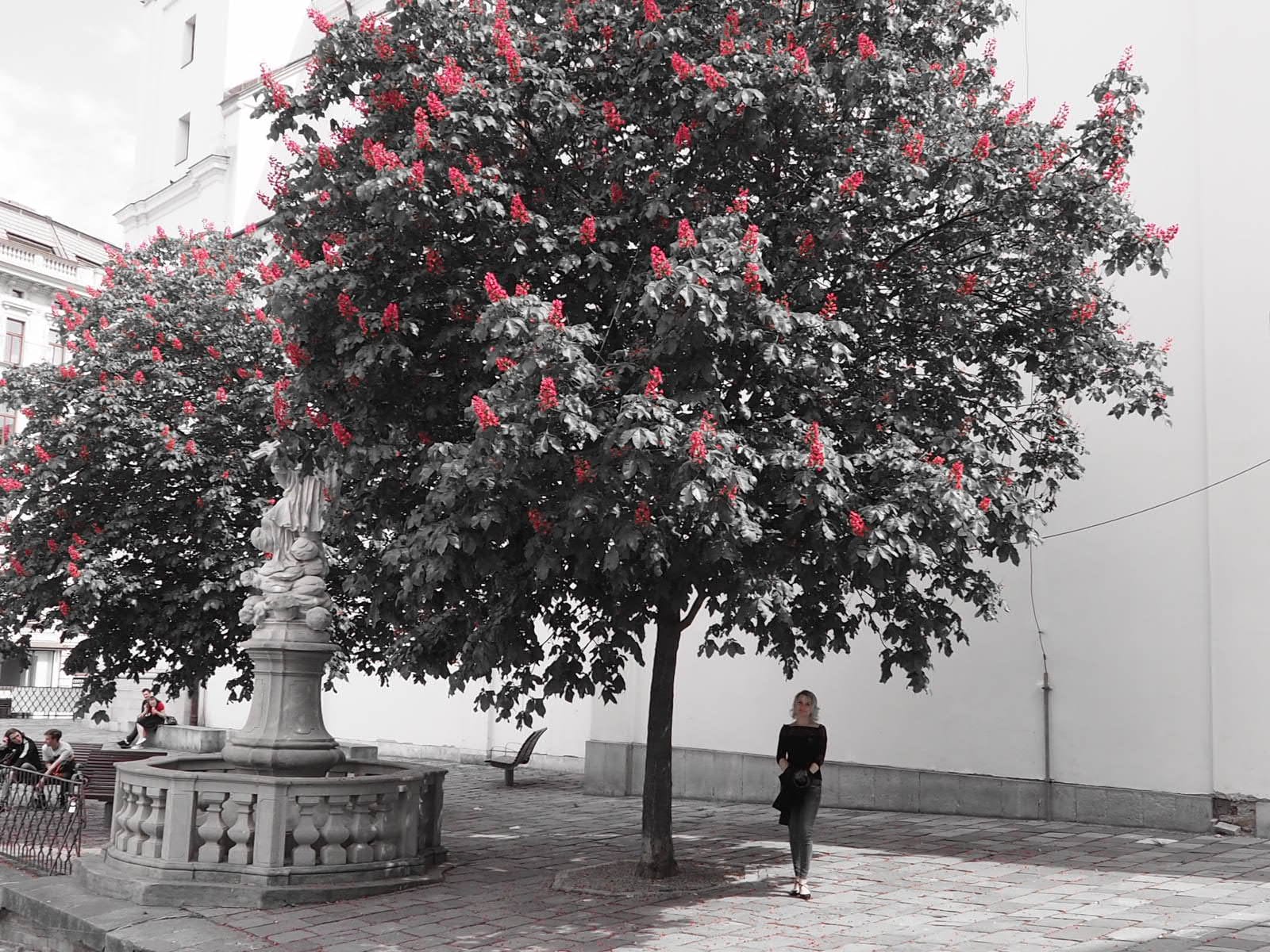 Monika Klímová - realitní makléř RE/MAX Pro foto 2