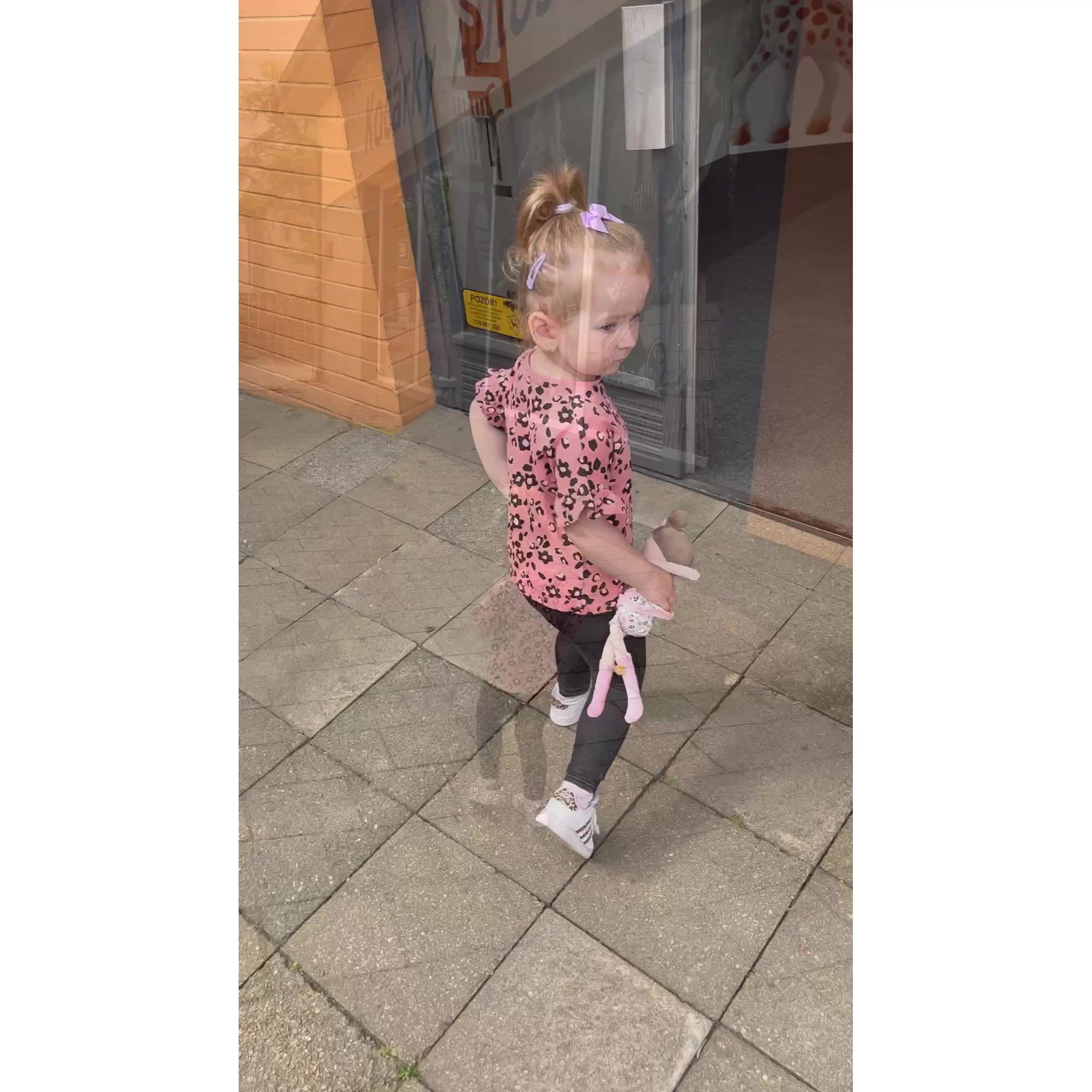 Dara kočárky foto 2 (náhled videa)