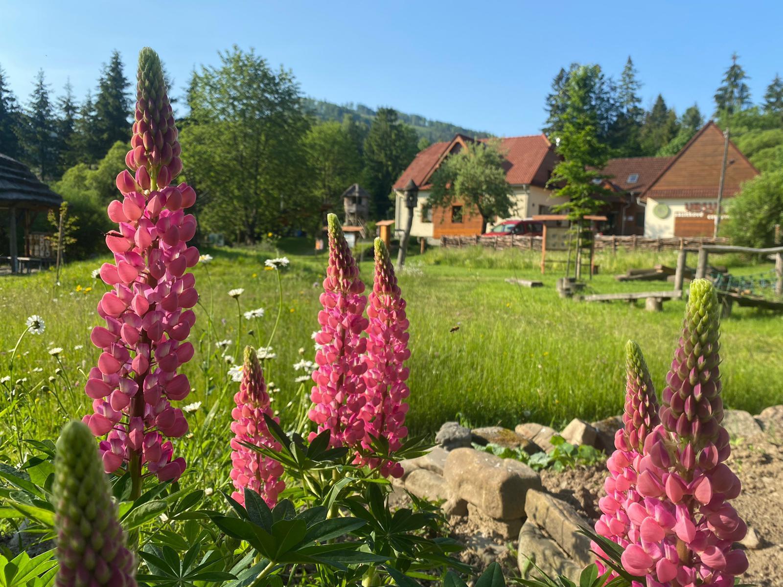 Informační středisko CHKO Beskydy foto 2