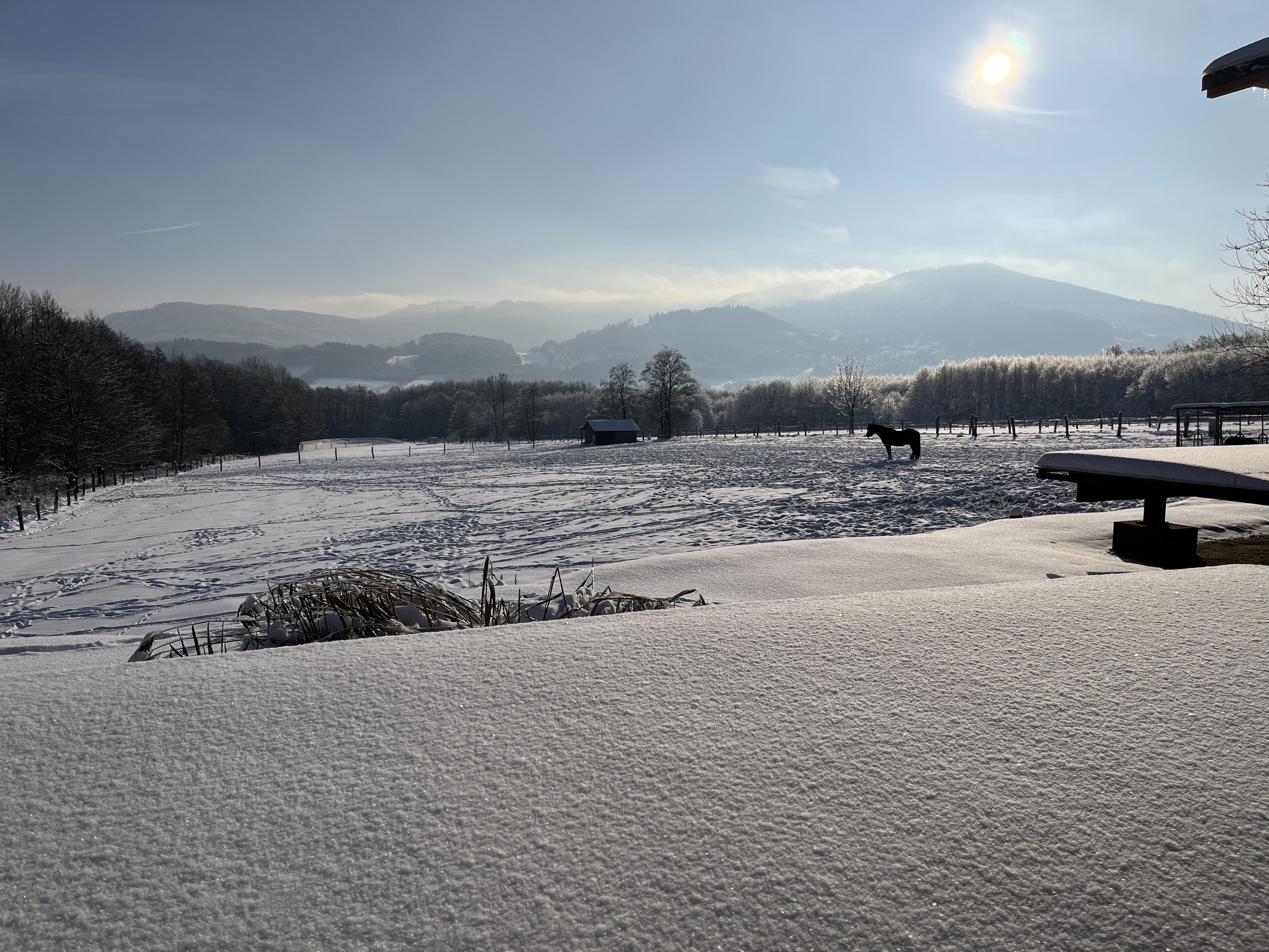 Ranč Orel foto 3