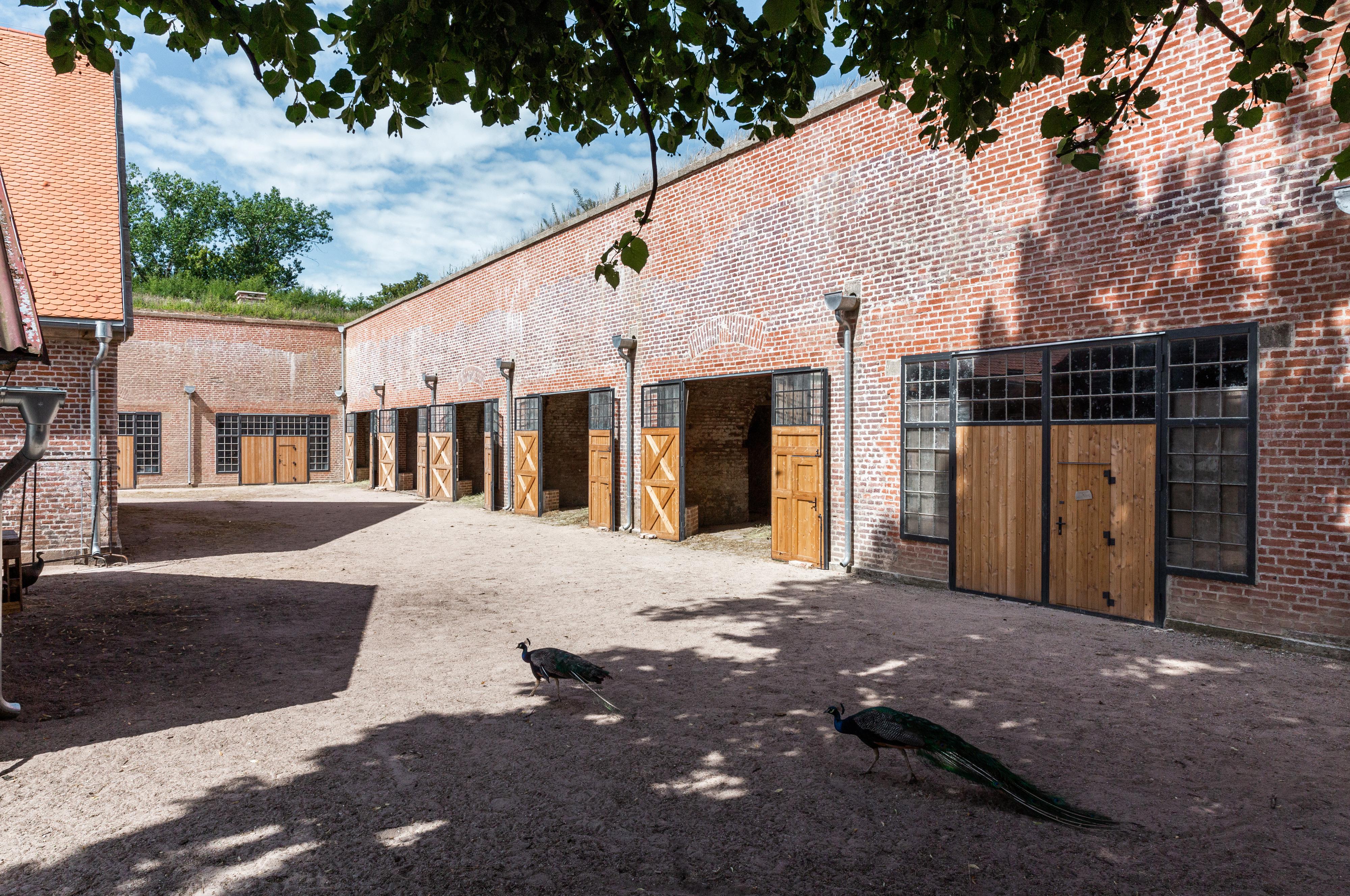 Umělecká kolonie Bastion IV foto 2