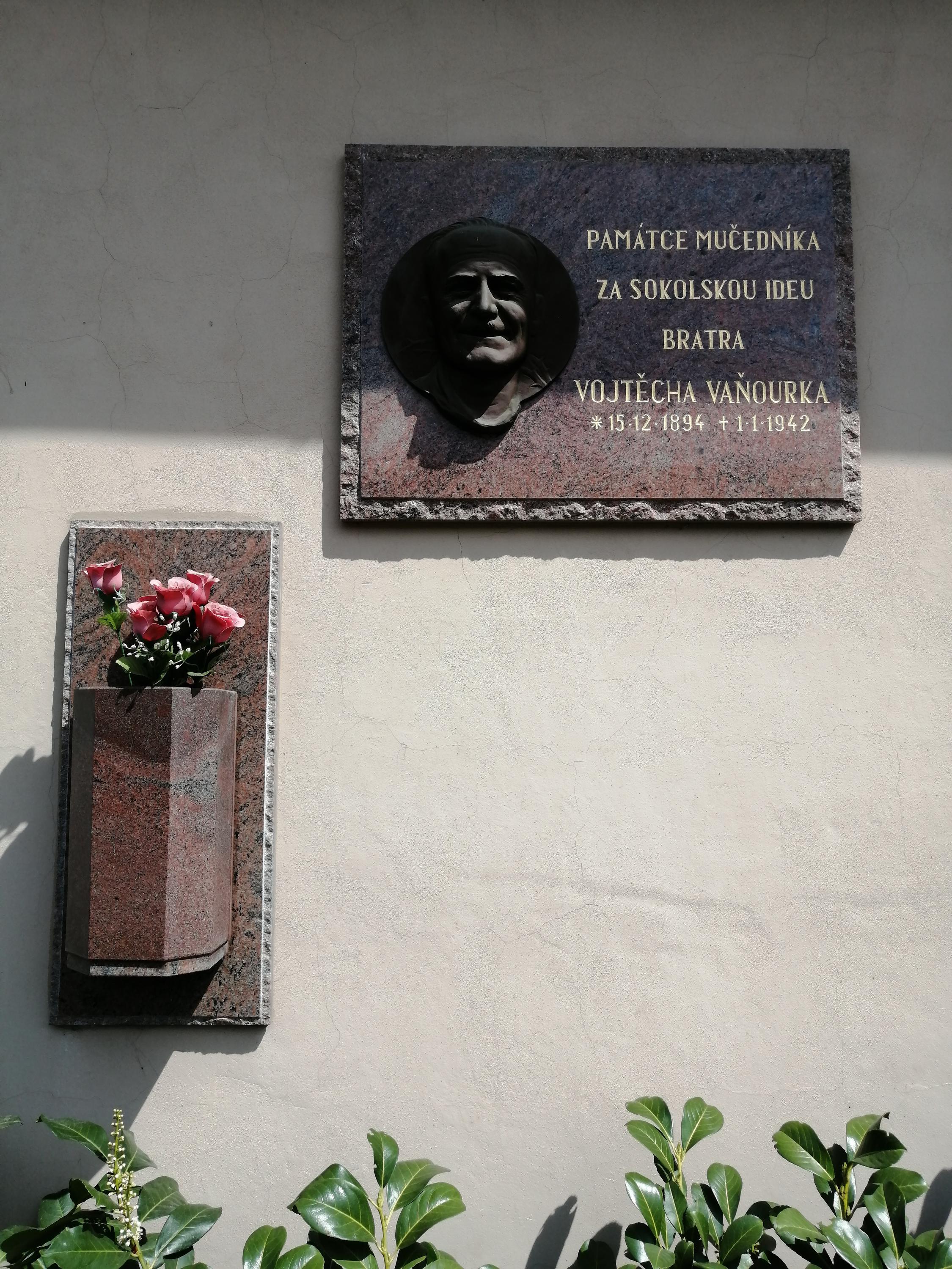 Tělocvičná jednota Sokol Náměšť na Hané foto 4