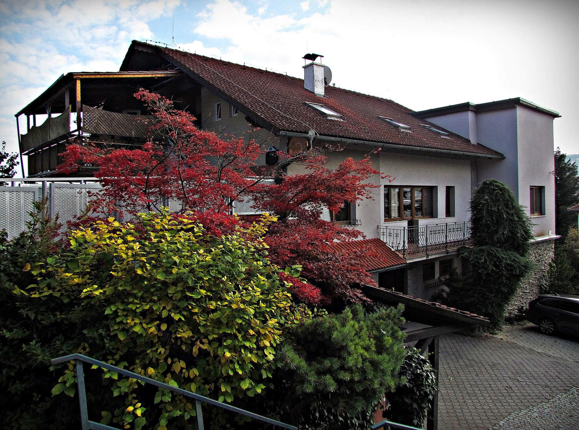 Restaurace Na Výsluní foto 4