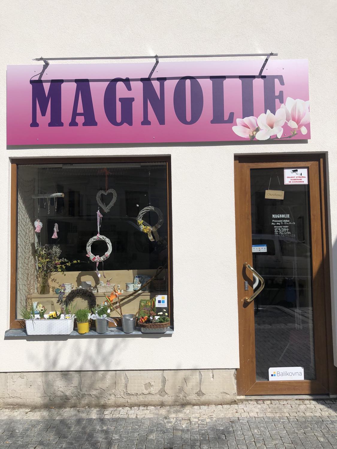 Magnolie foto 2