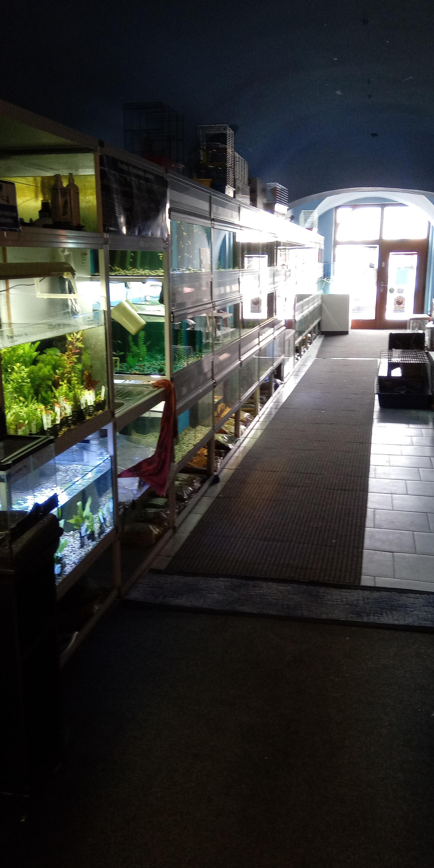 Akvárium Olbrecht foto 4