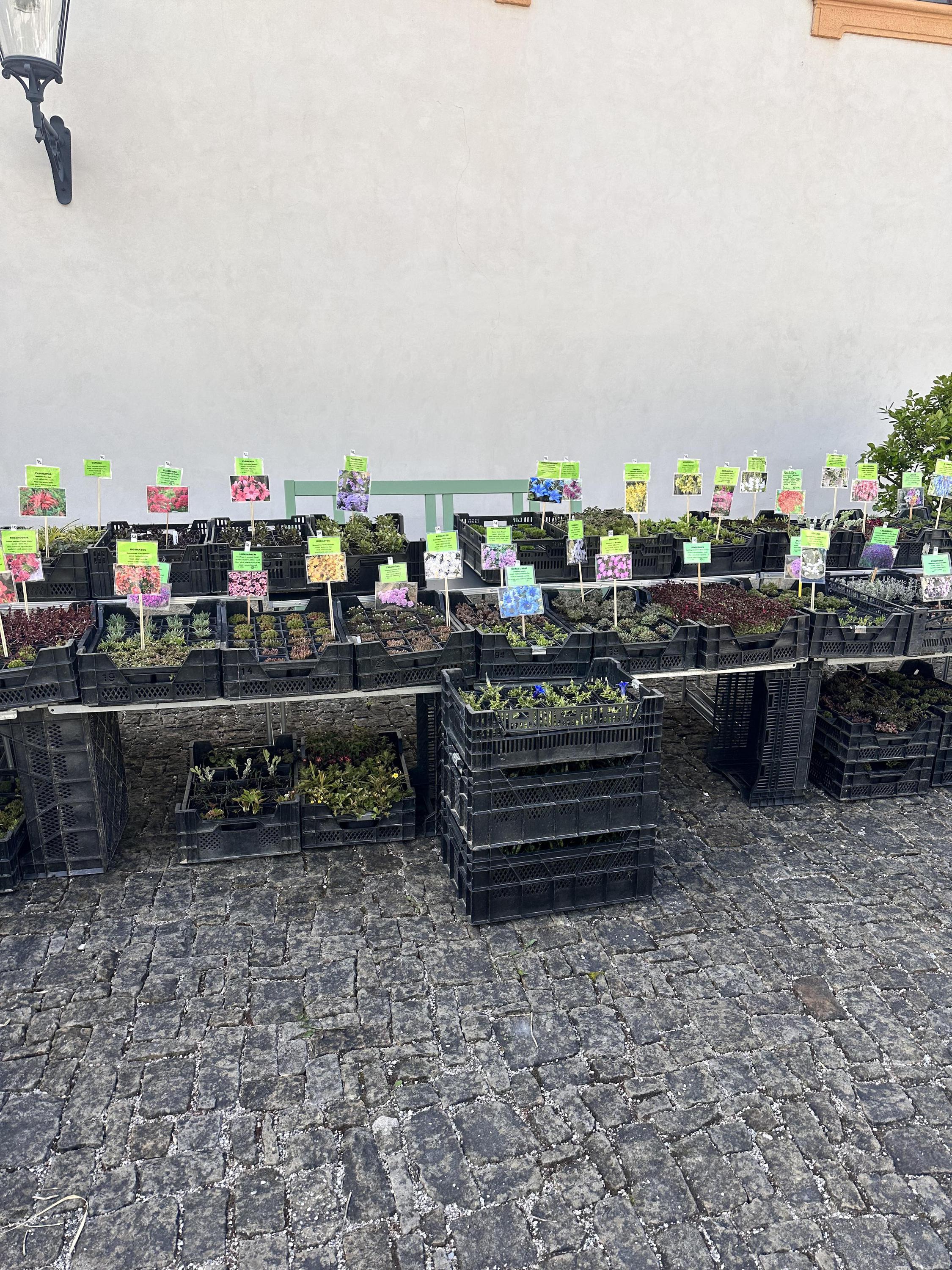 Trvalková školka Milan Antropius foto 6