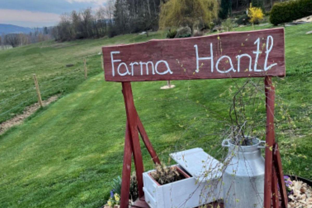 Farma Hantl