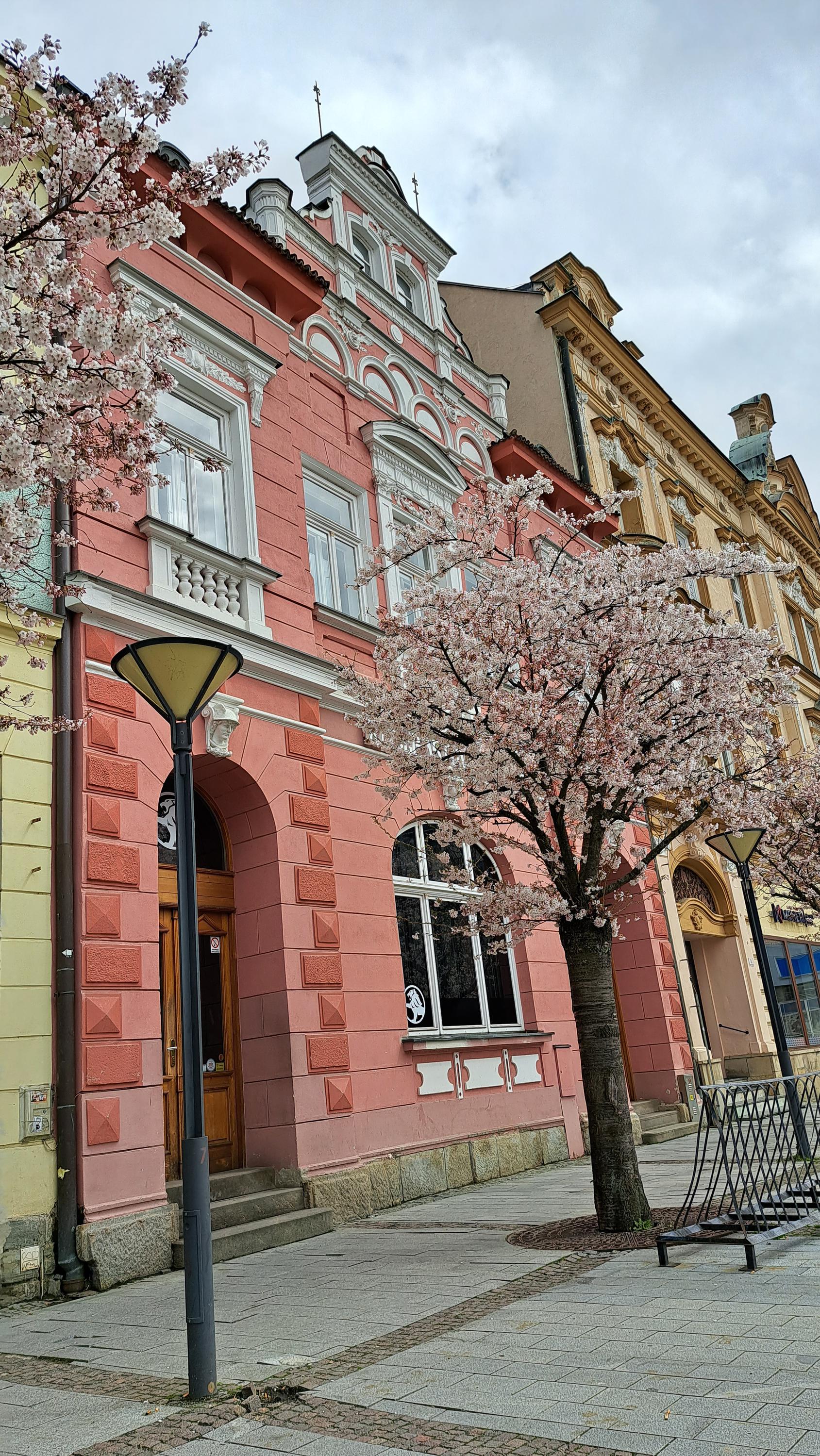 Radegastovna U Lva foto 2