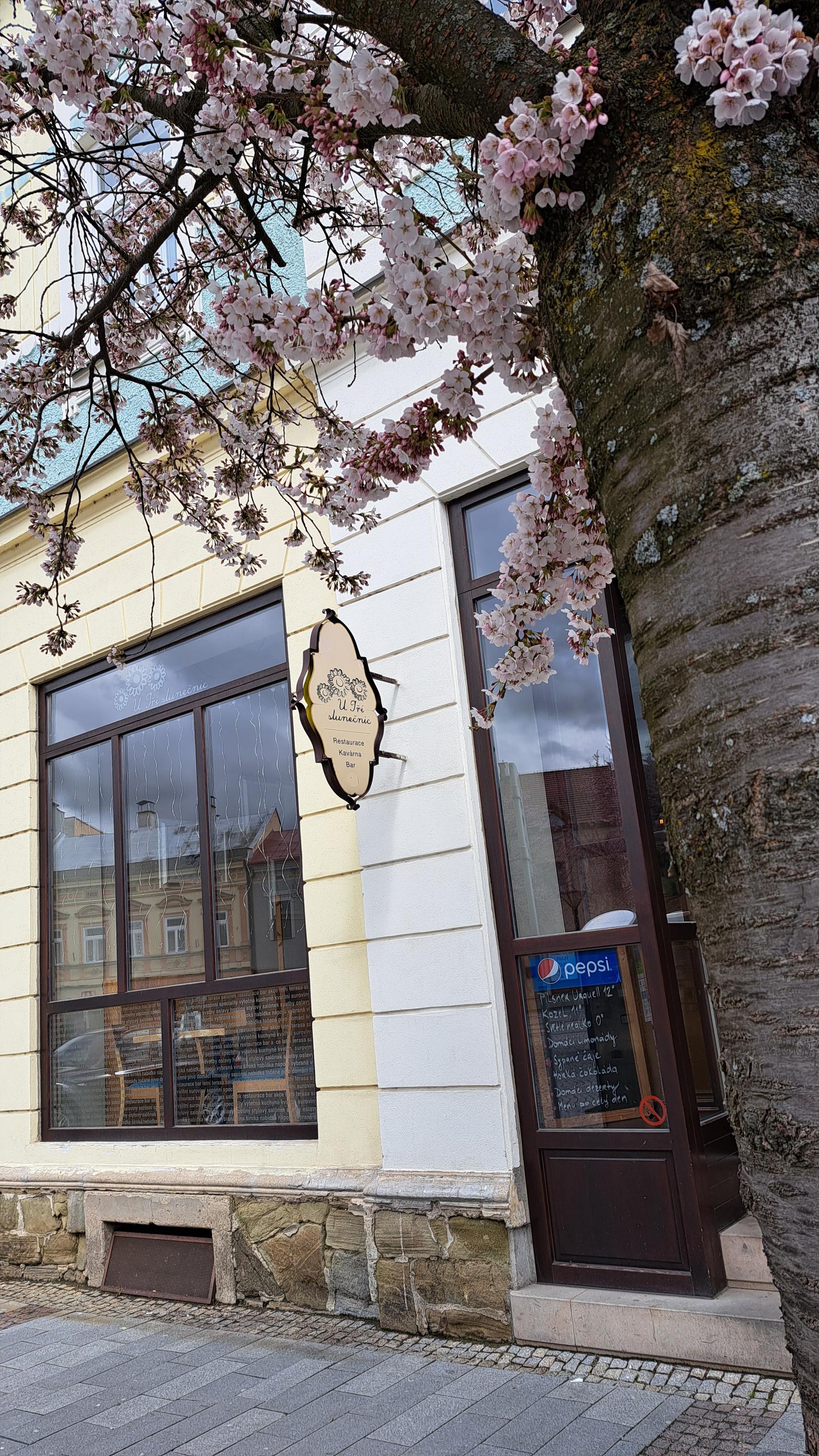 Restaurace U Tří slunečnic foto 6