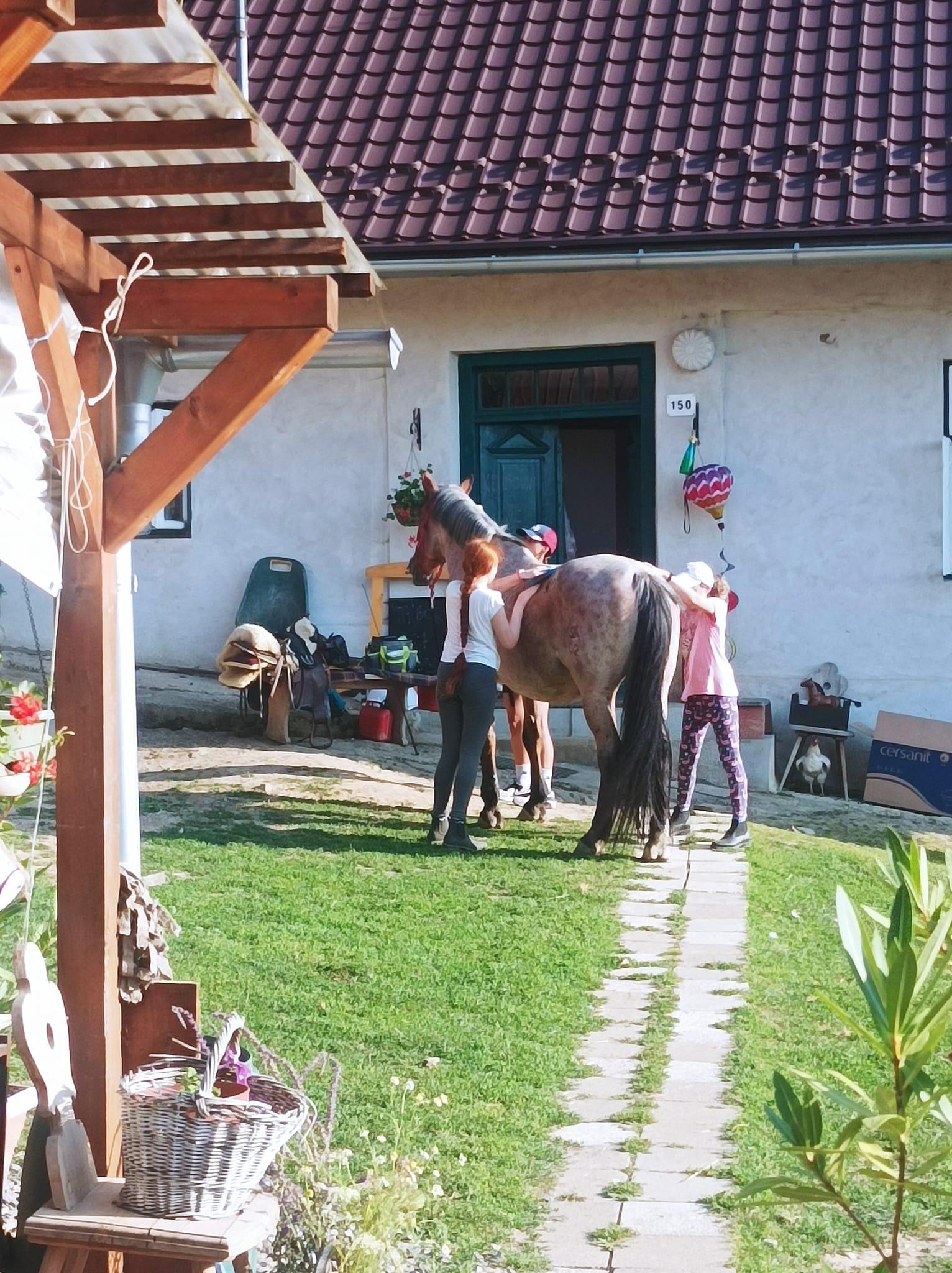 Statek U Robinsonek foto 6