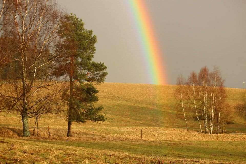 Renáta Pejřilová foto 3