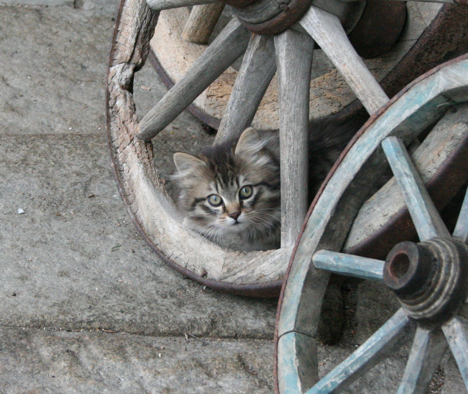 Turistatek Javořice foto 6
