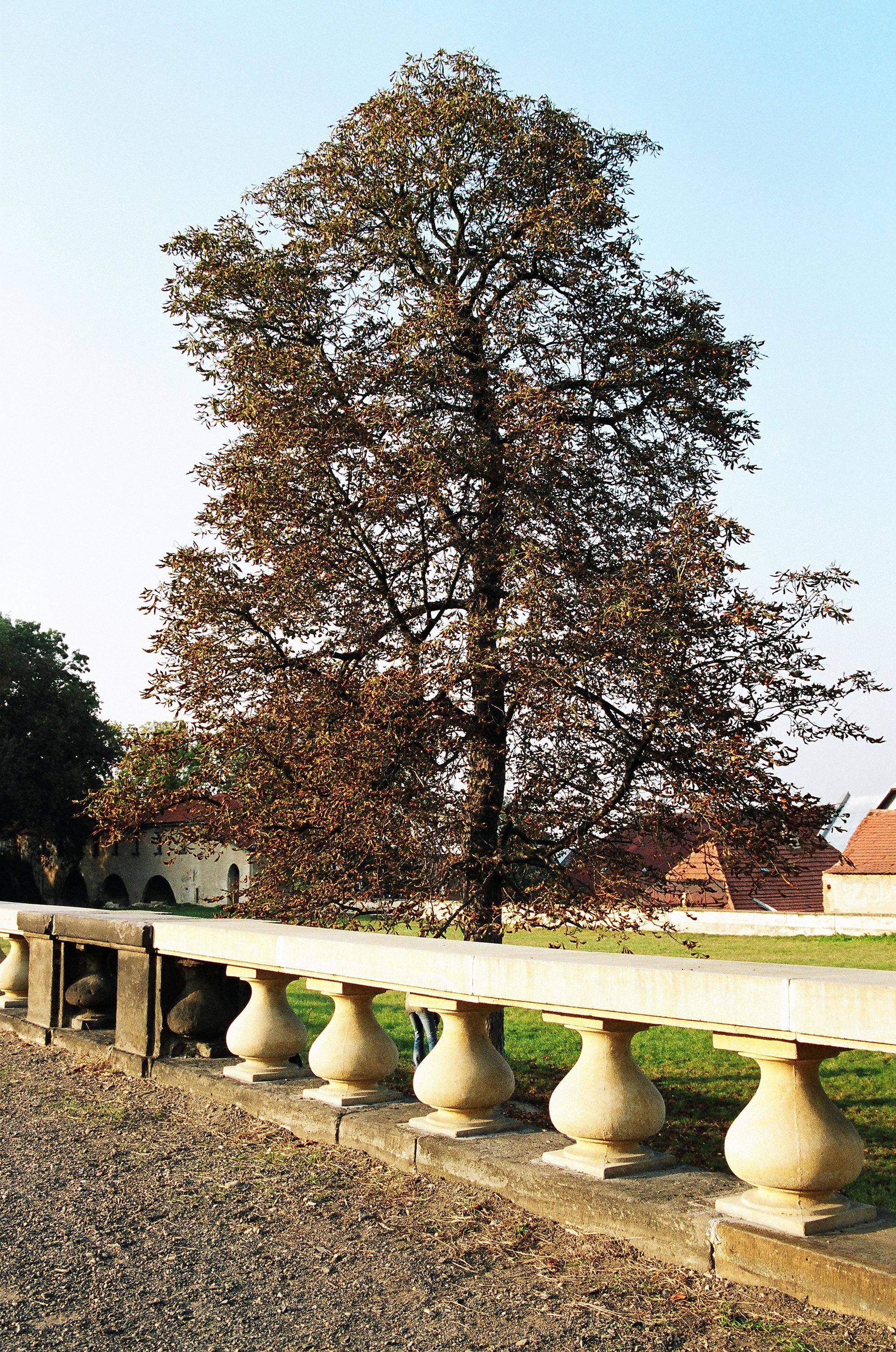 Pressbet s.r.o. foto 6