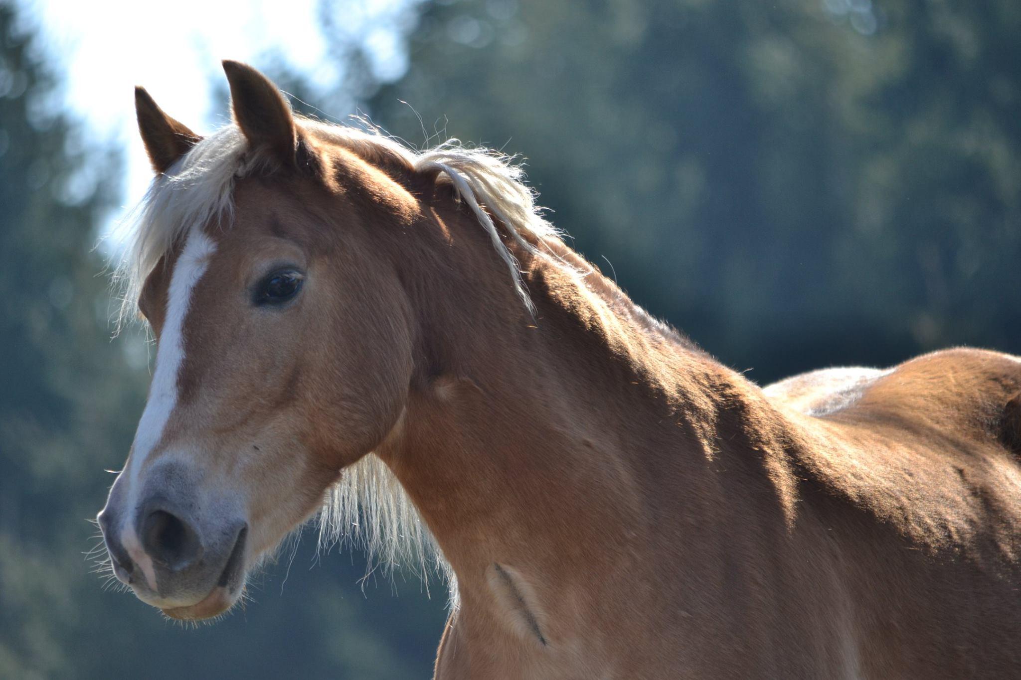 Statek U Robinsonek foto 1