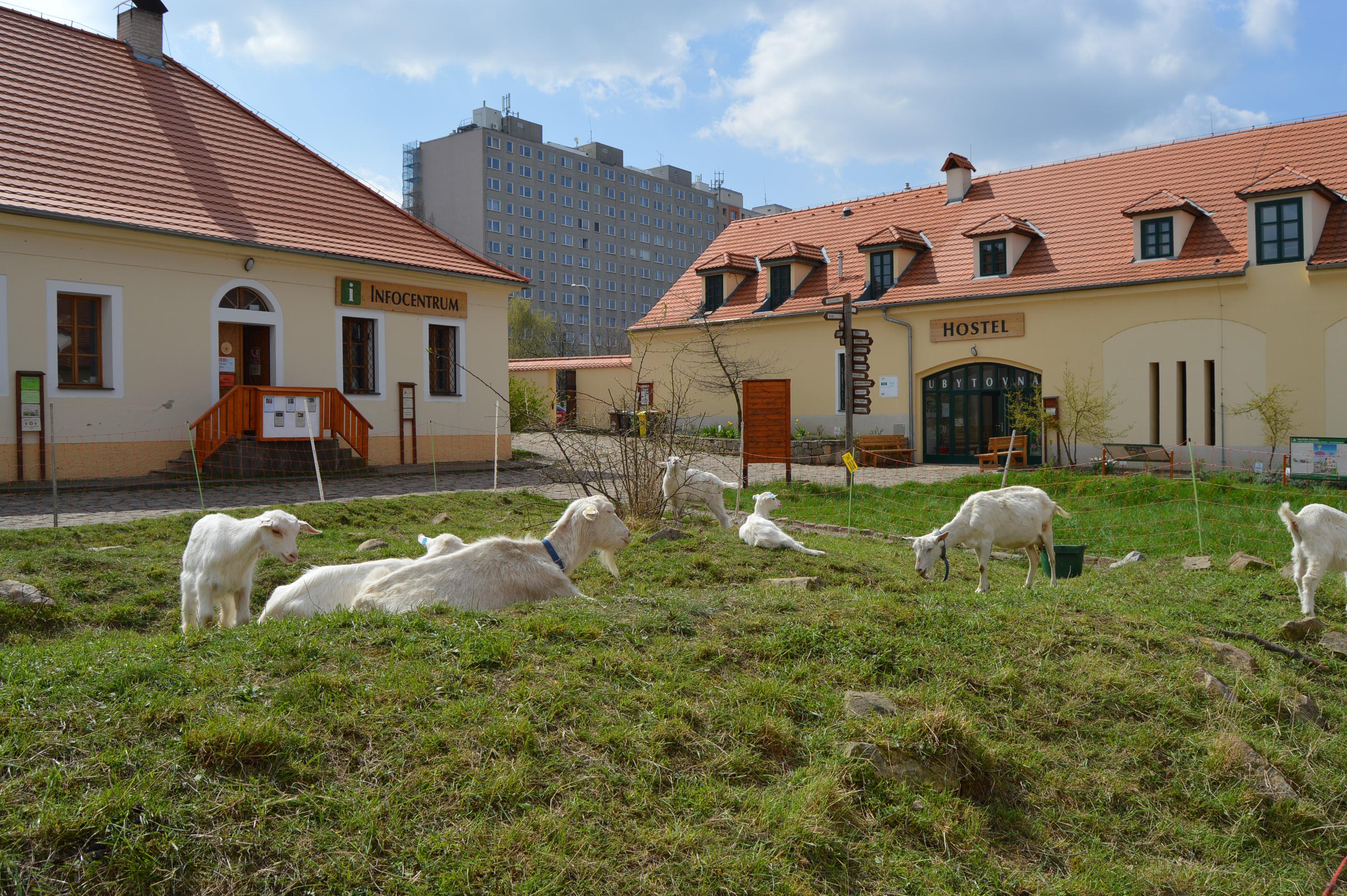Hostel Ubytovna Toulcův dvůr