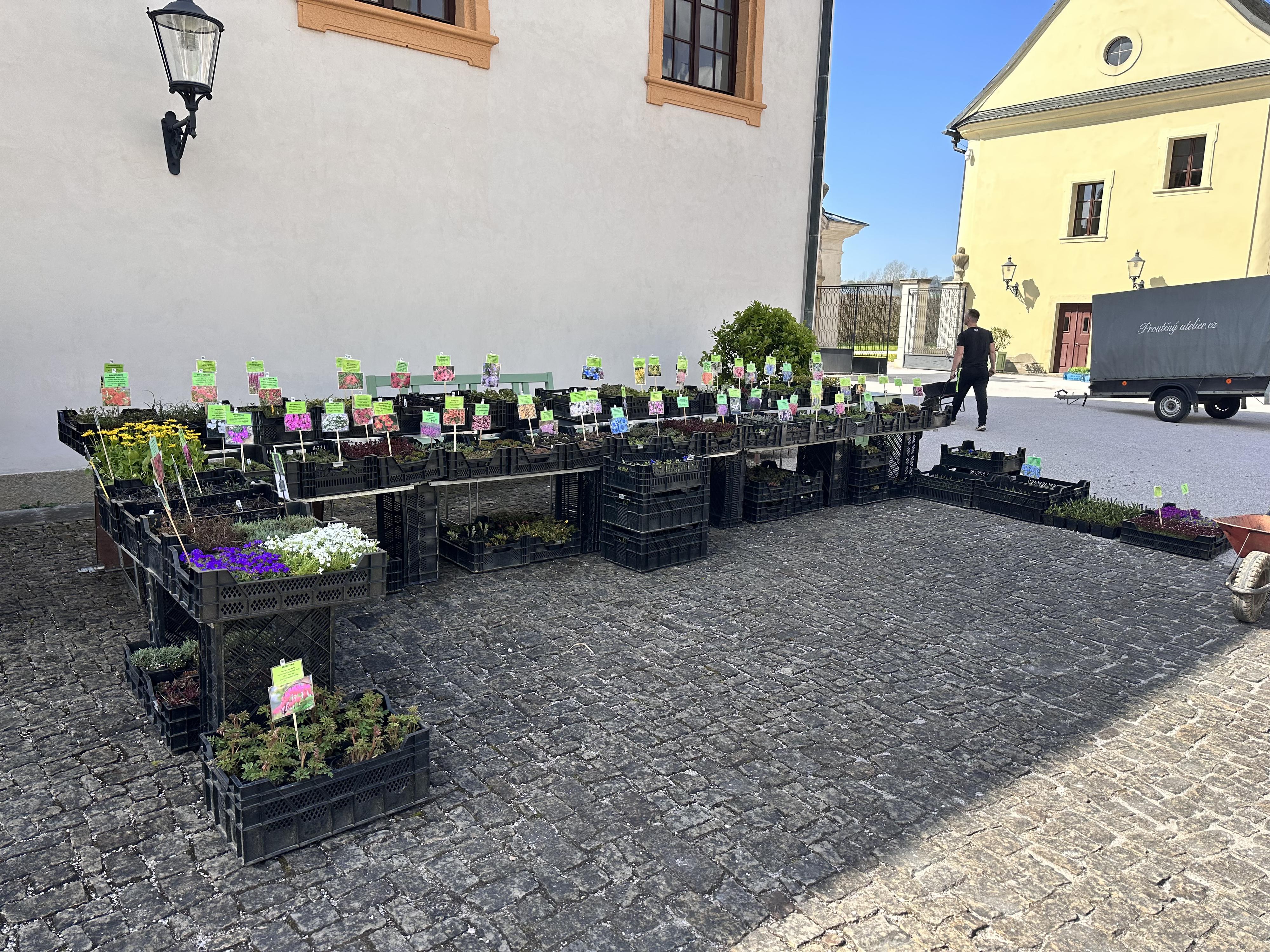 Trvalková školka Milan Antropius foto 5