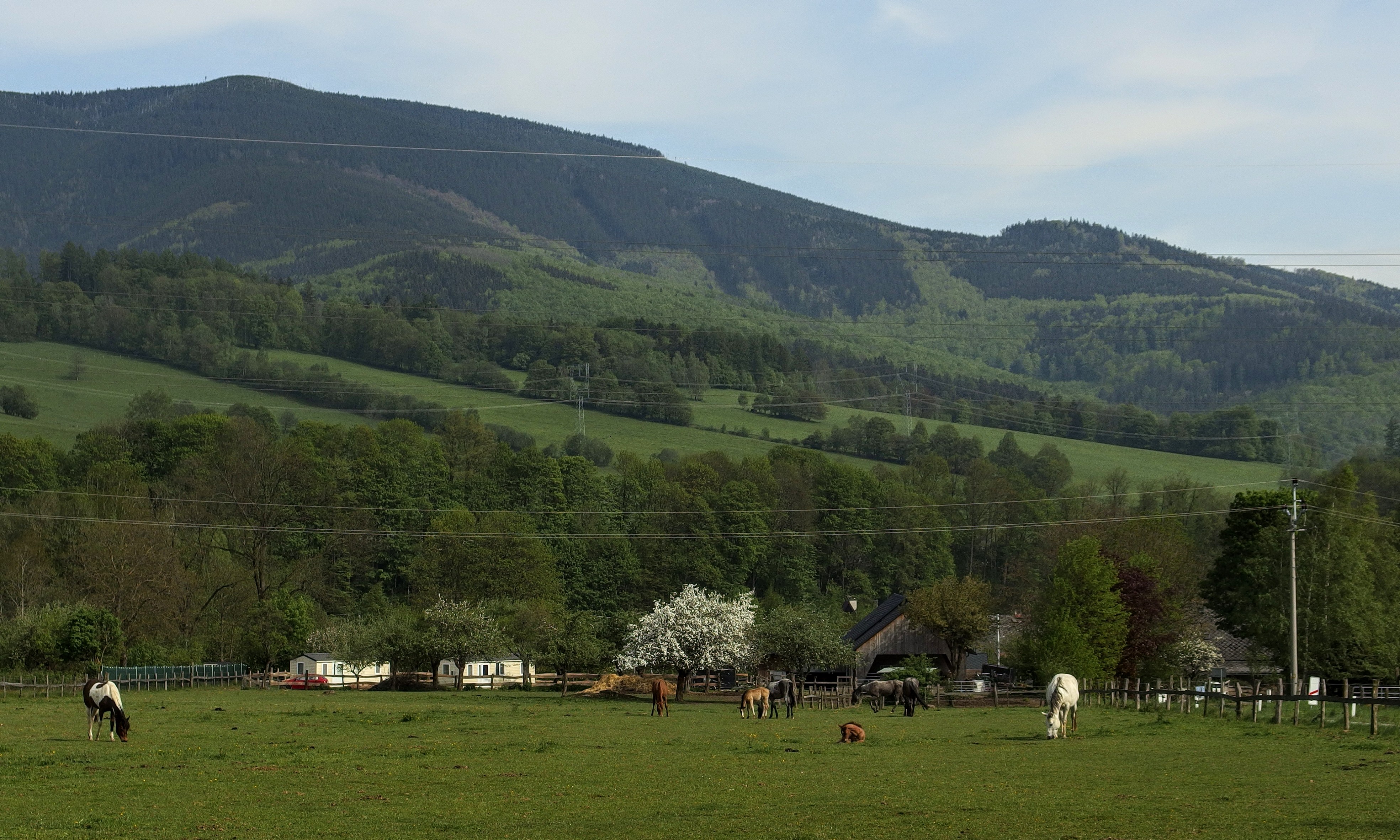 Ranč Mustang foto 5