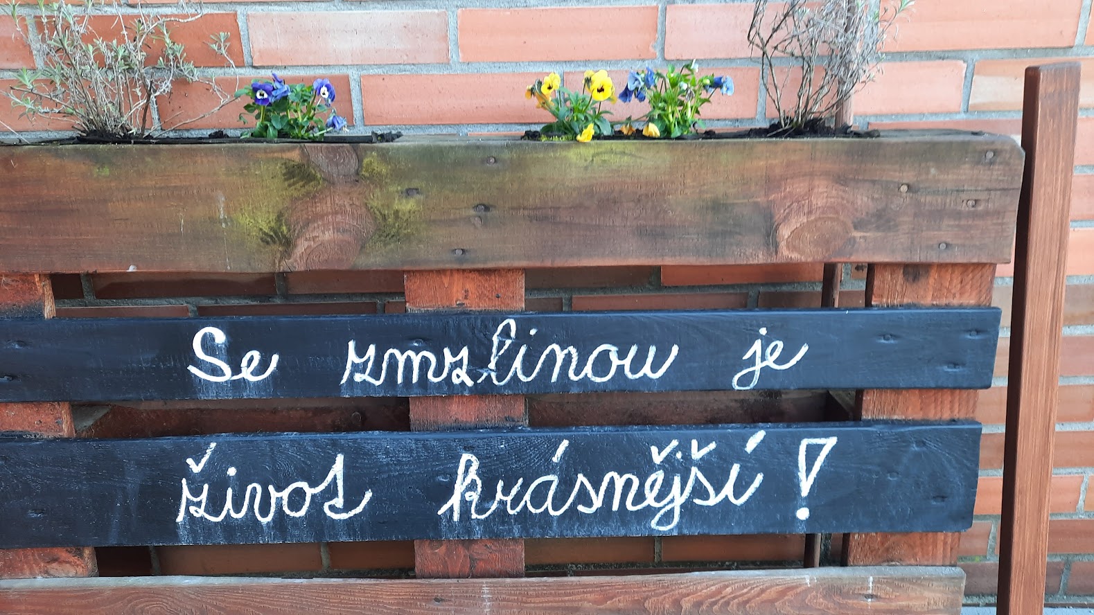 Zmrzlina z Náměšťě foto 3