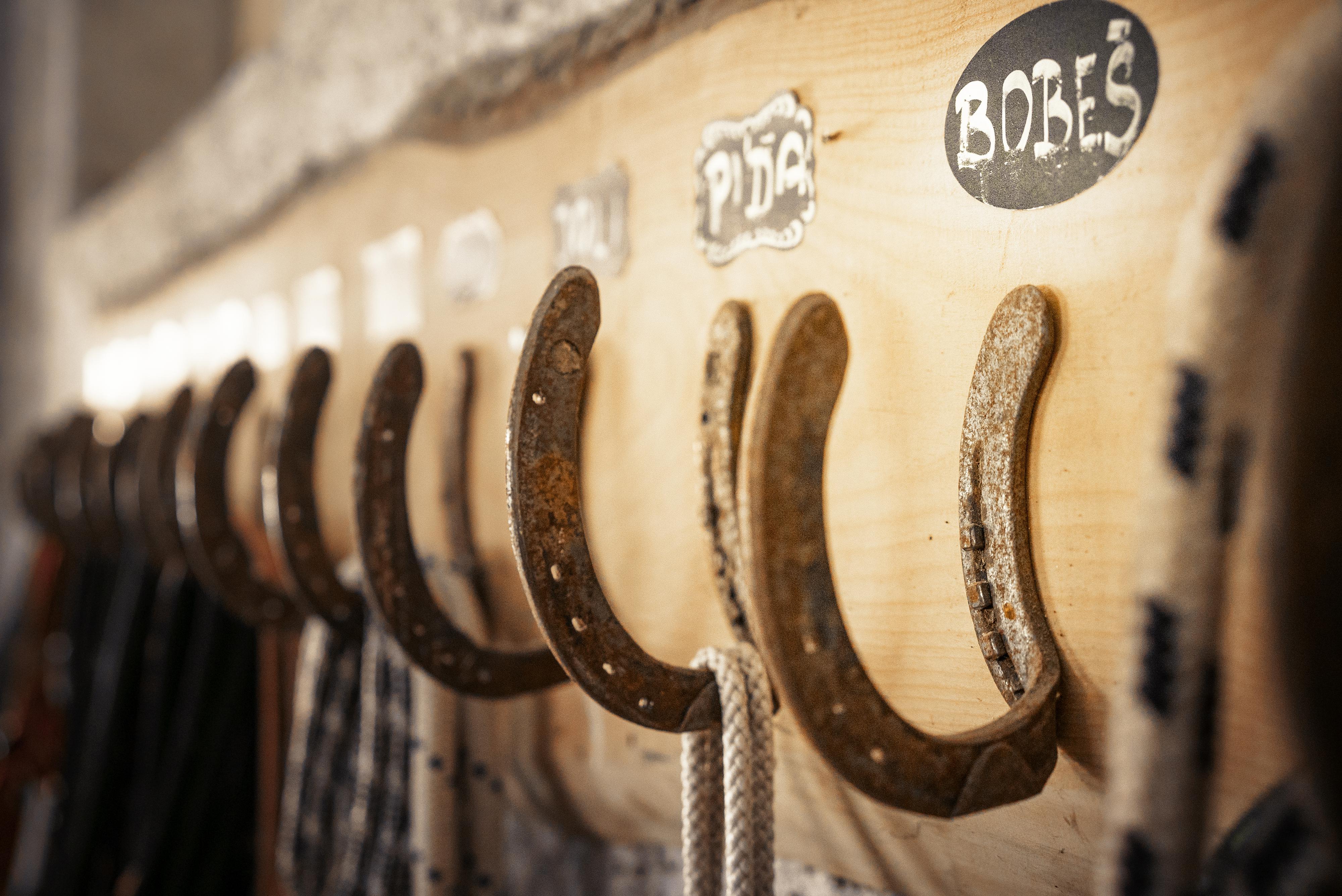 Ubytování Ranč Červený Mlýn foto 3