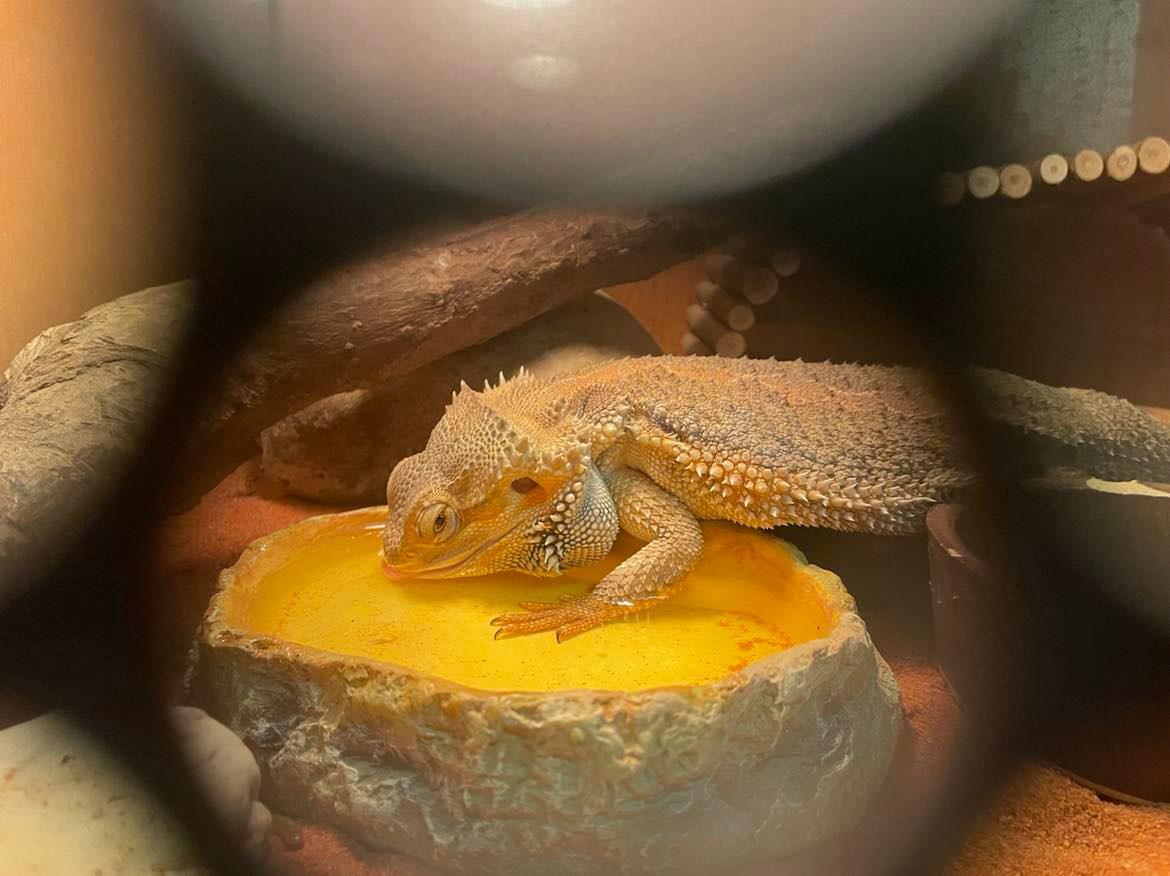 Bouda - chovatelské a zahrádkářské potřeby foto 5