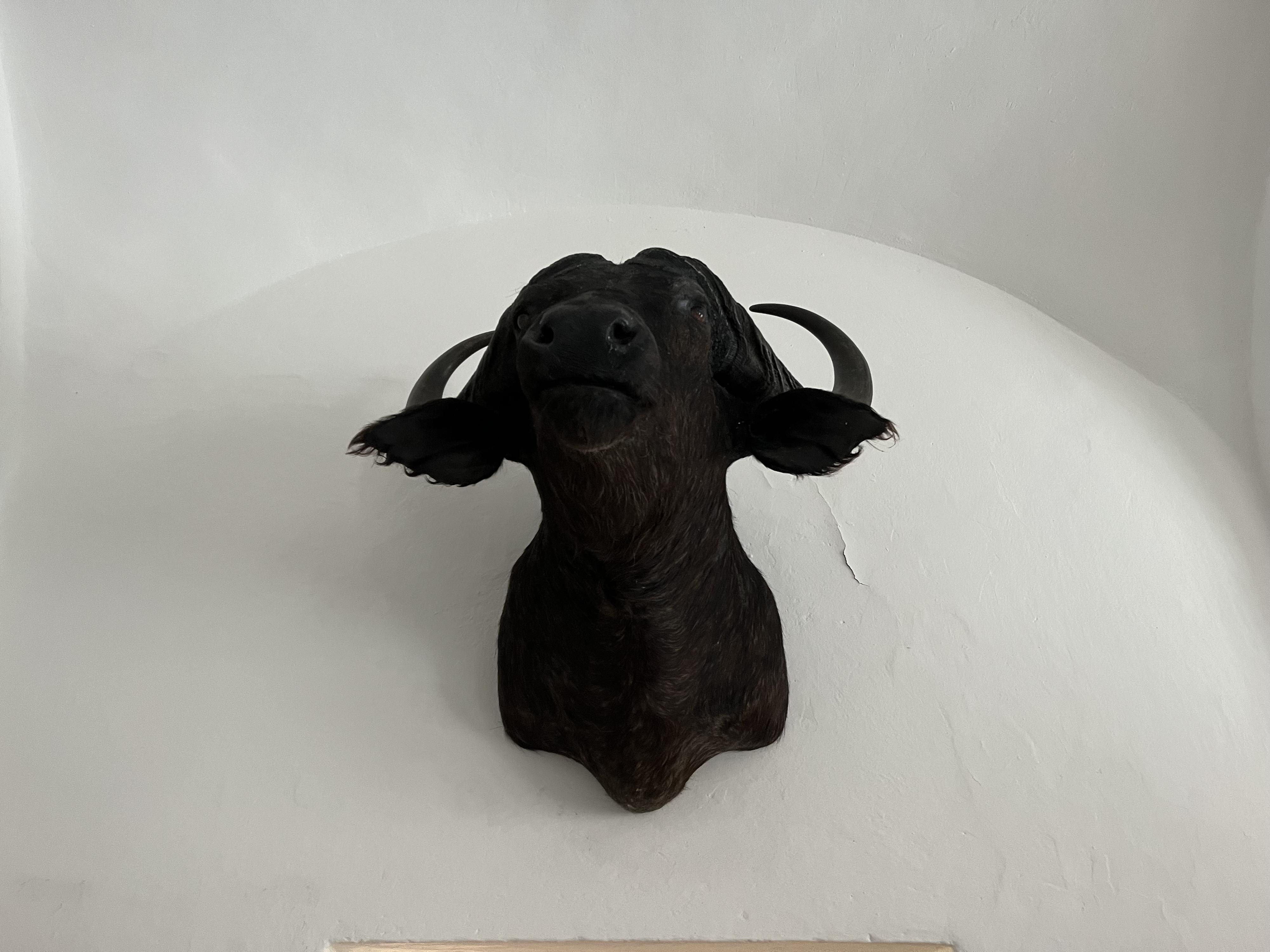 Galerie Knížecí dvůr foto 4