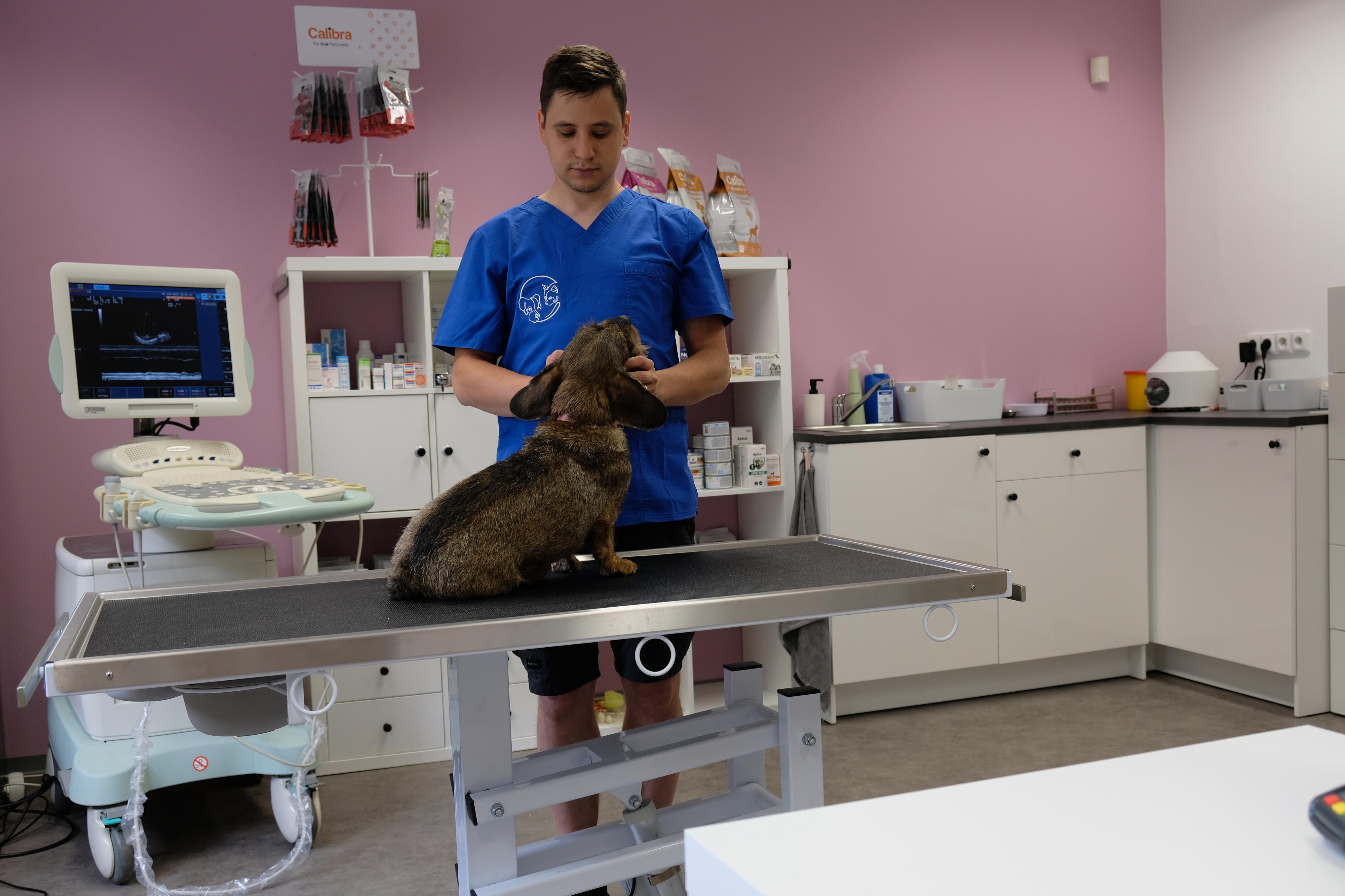 Vetmo - veterinární ordinace foto 3
