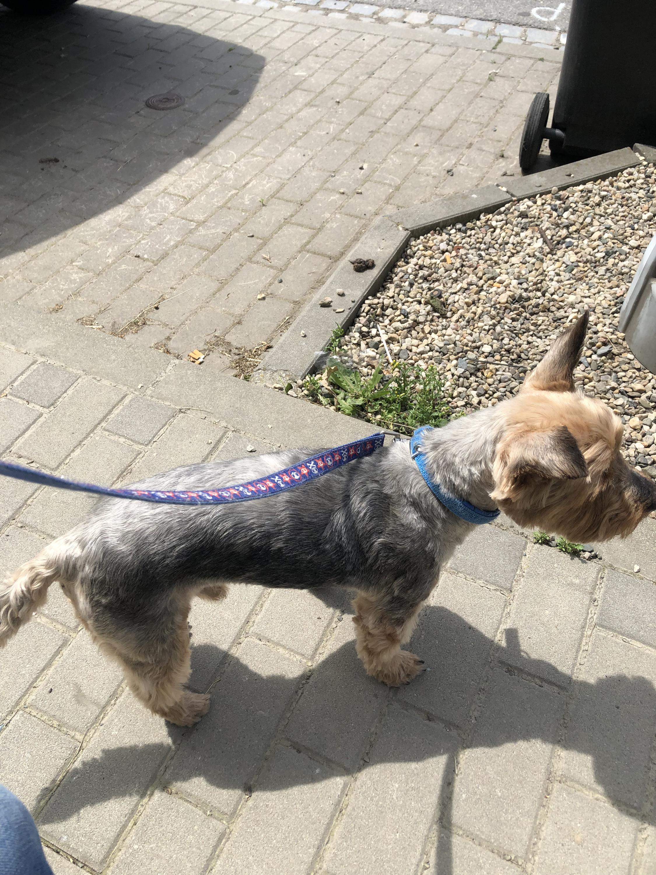 MVDr. Michaela Hejlková - Veterinární ordinace foto 5