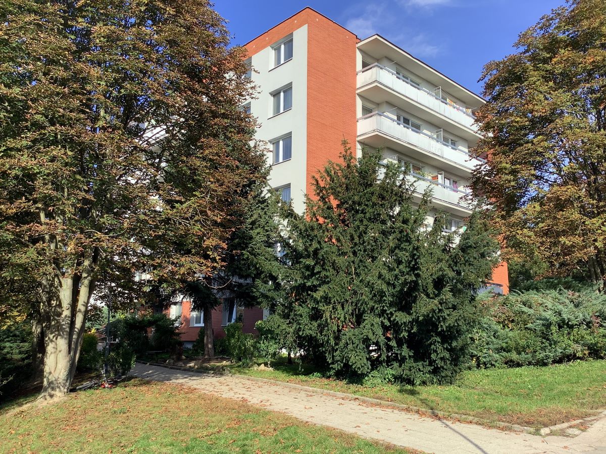 Radana Javoříková foto 6