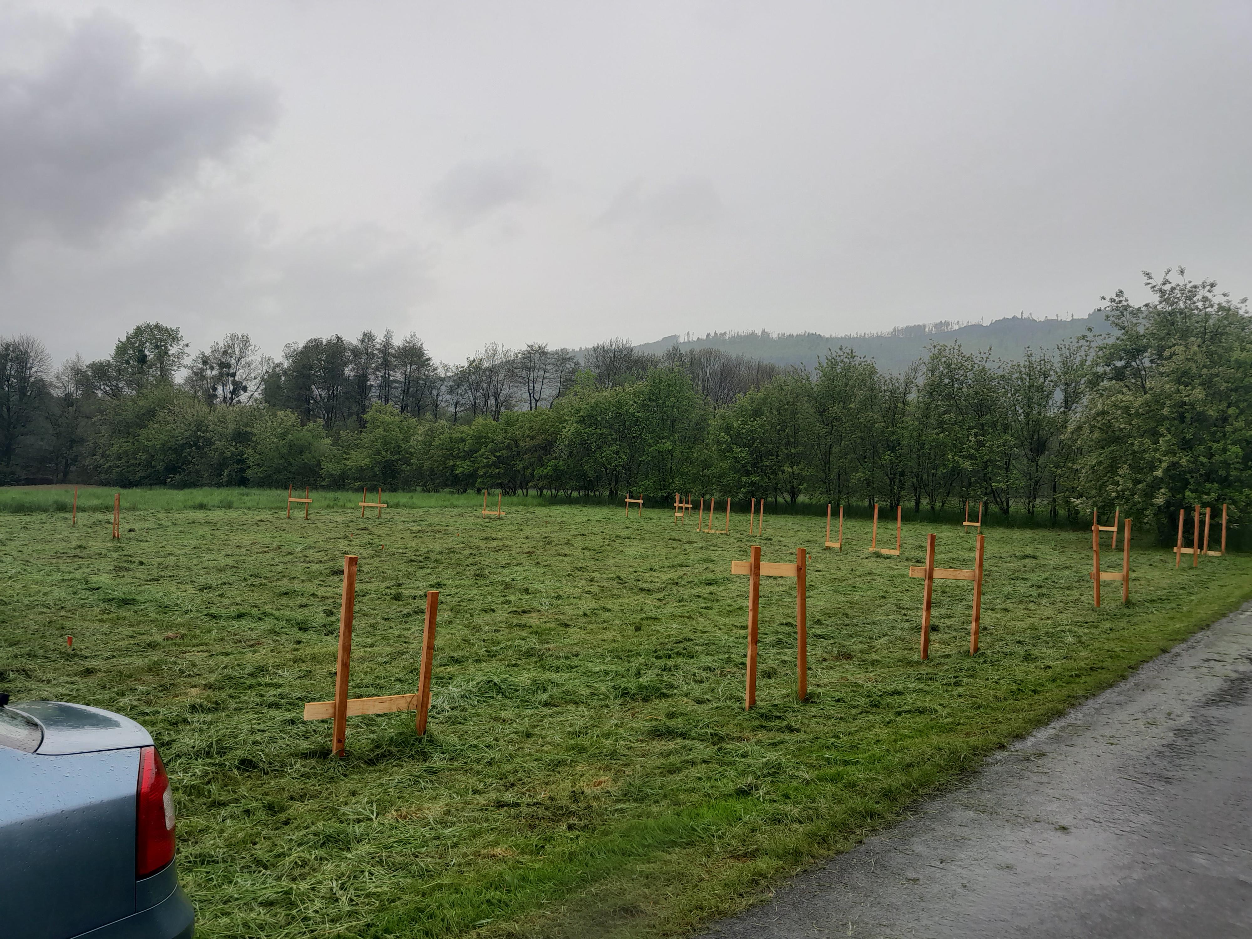 Kosení zahrad - Petr Kovář foto 6