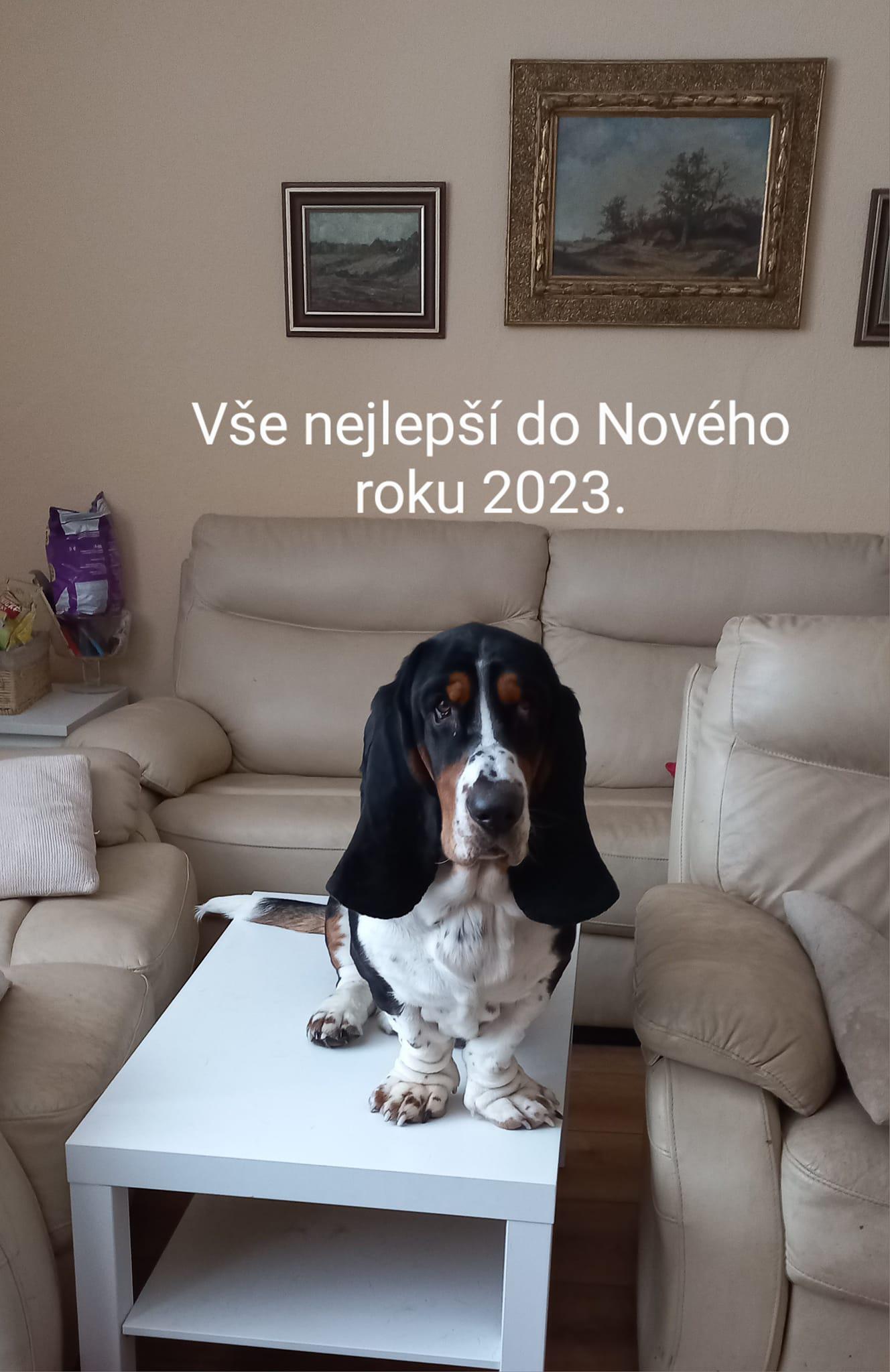 Husse foto 2