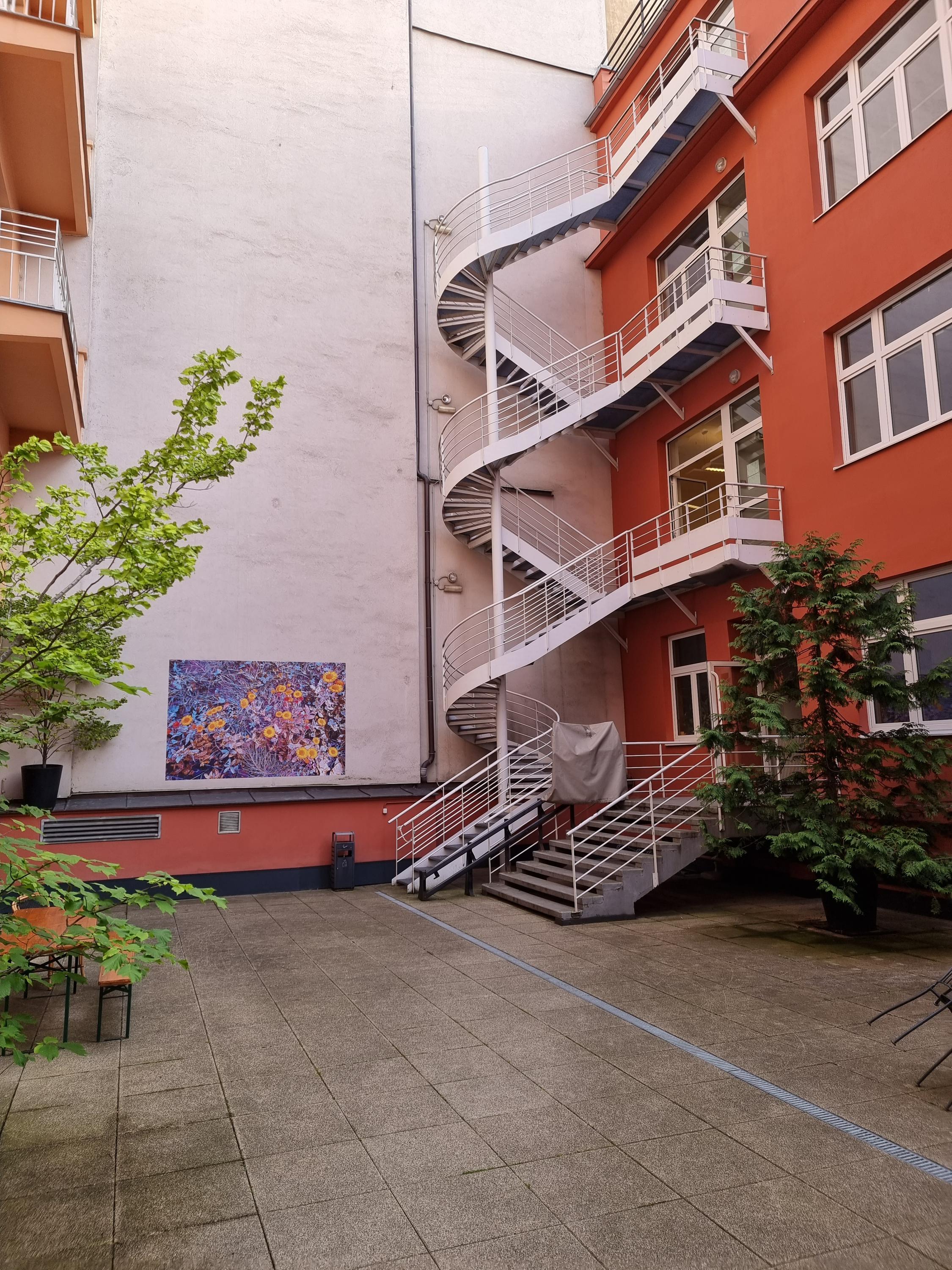 Francouzský institut foto 2