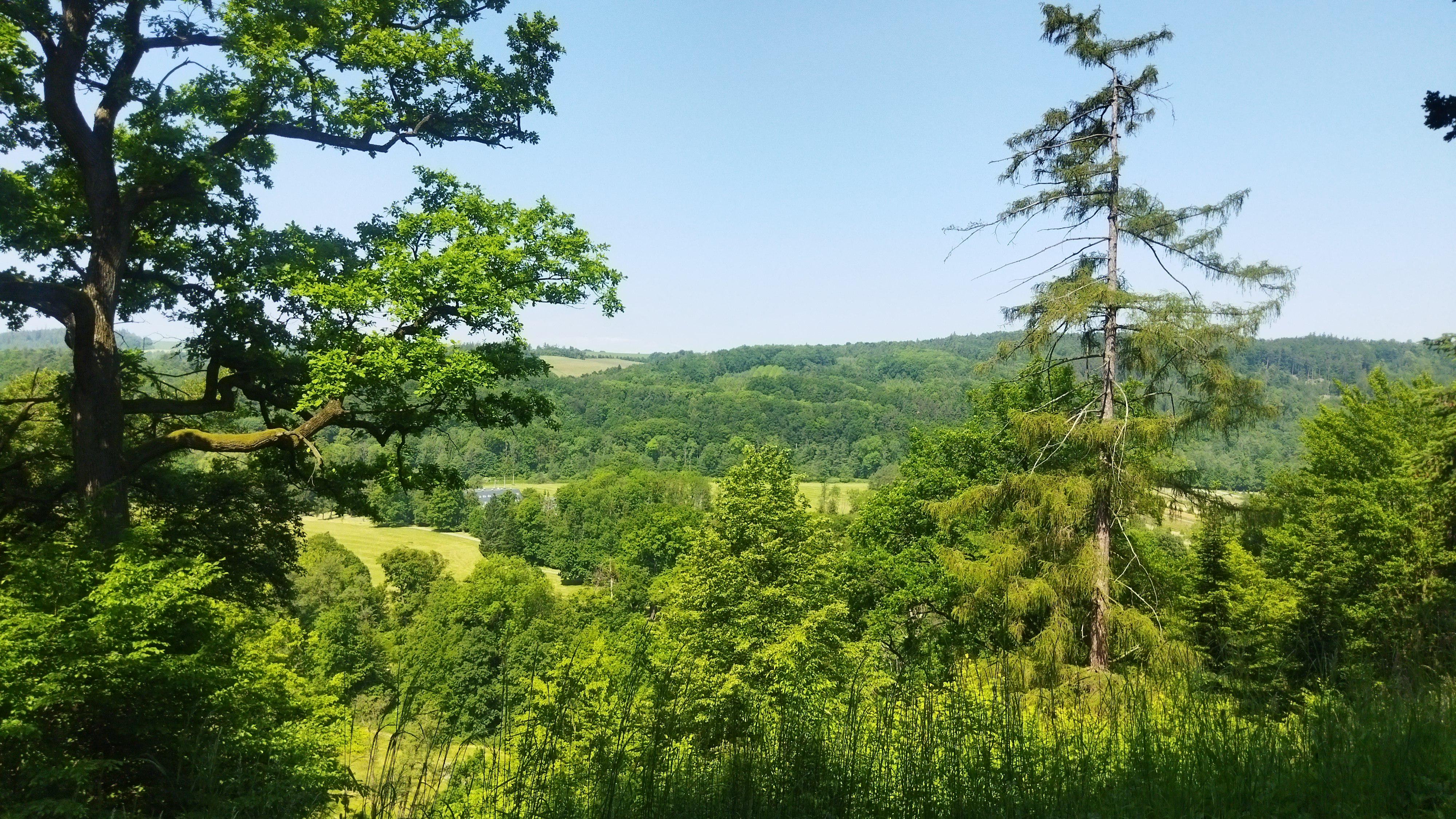 Restaurace Belaria foto 2