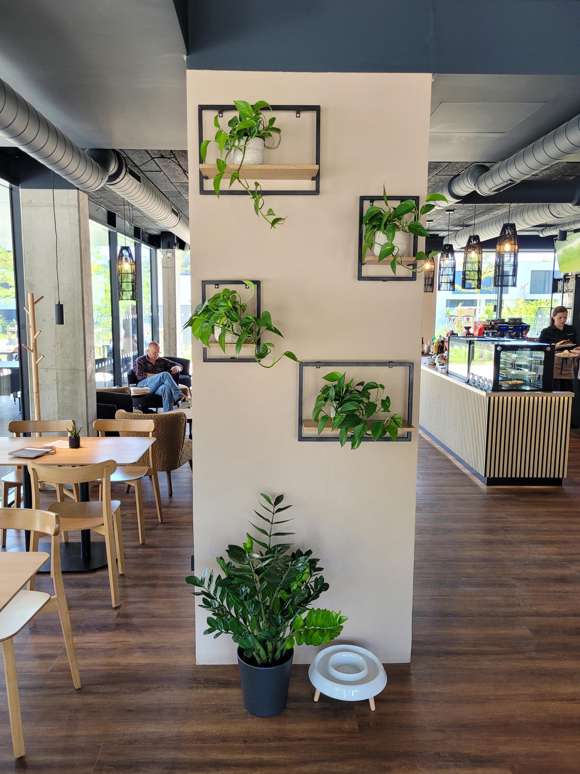 Cafe Residence foto 4